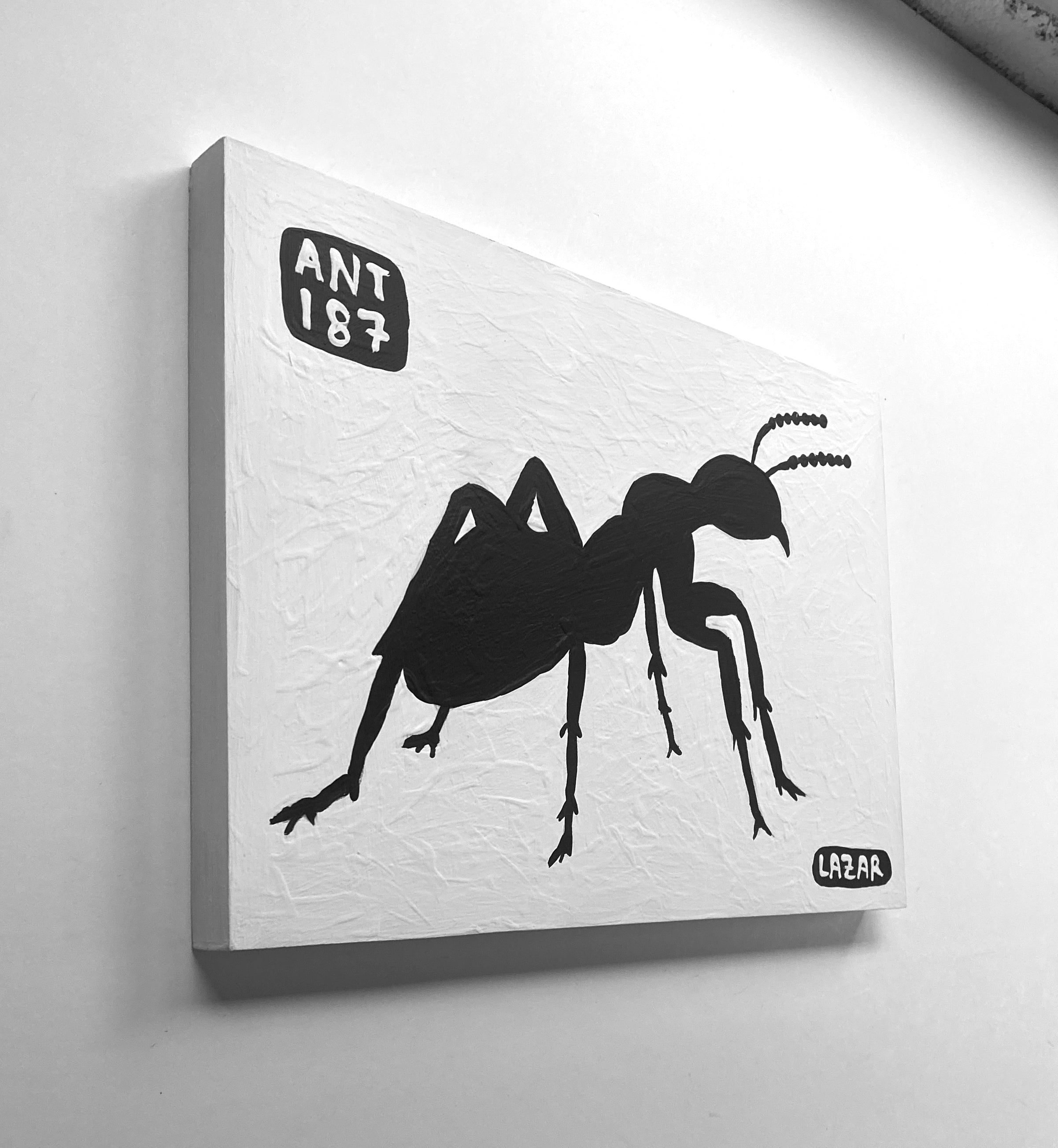 Ant #187