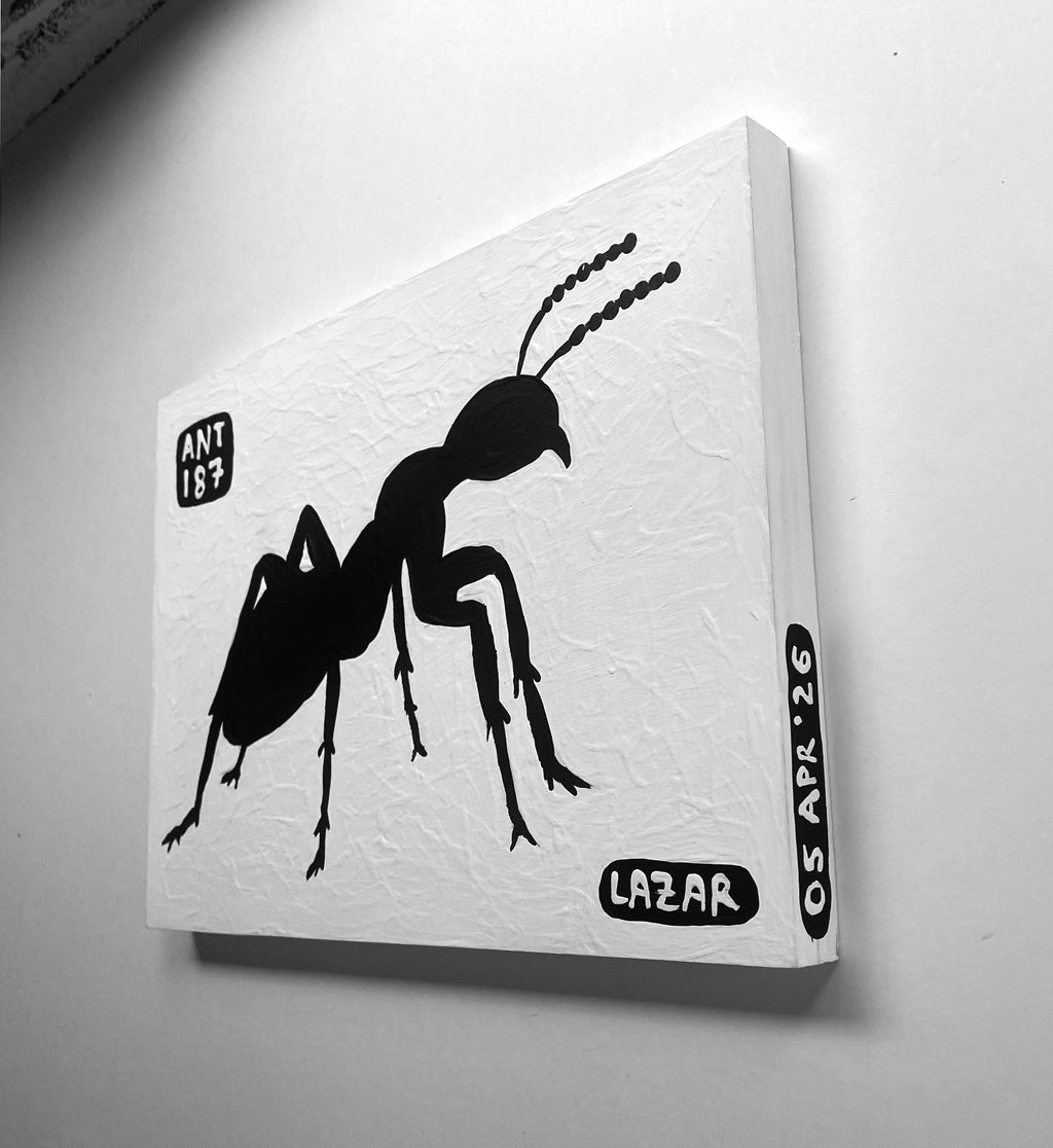 Ant #187