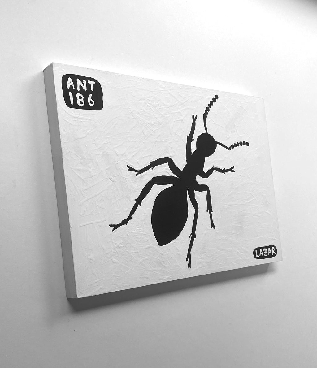 Ant #186