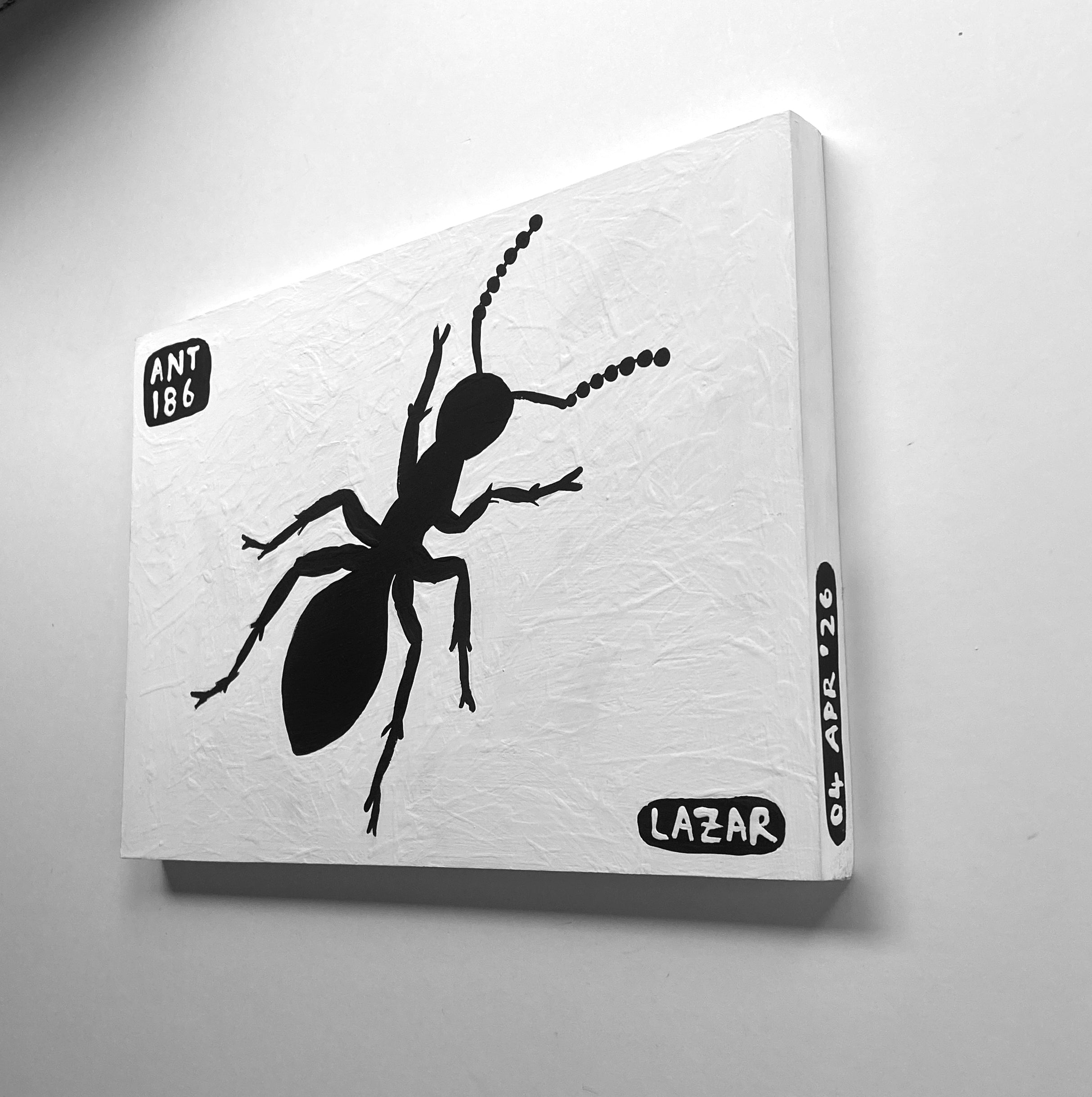 Ant #186