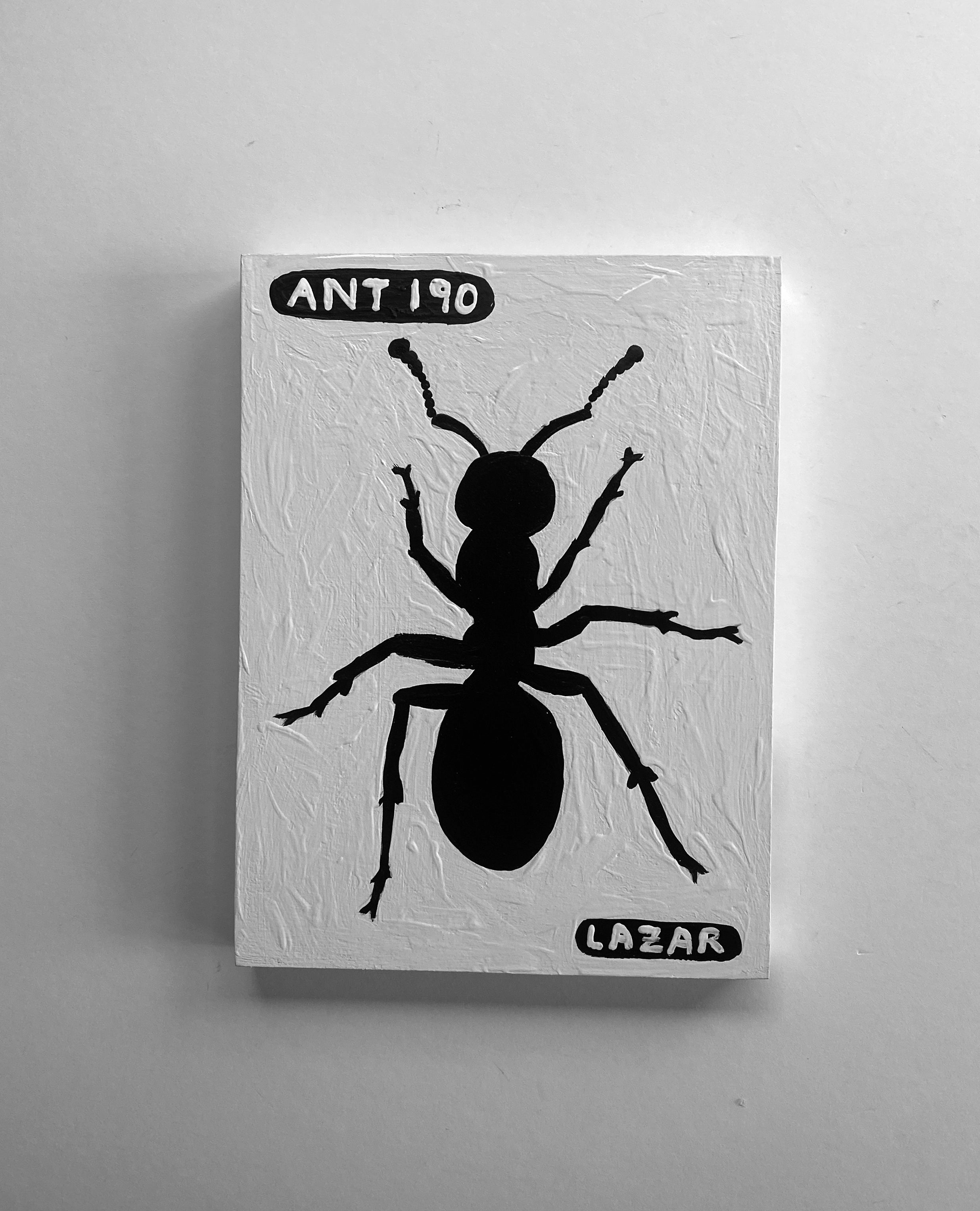 Ant #190