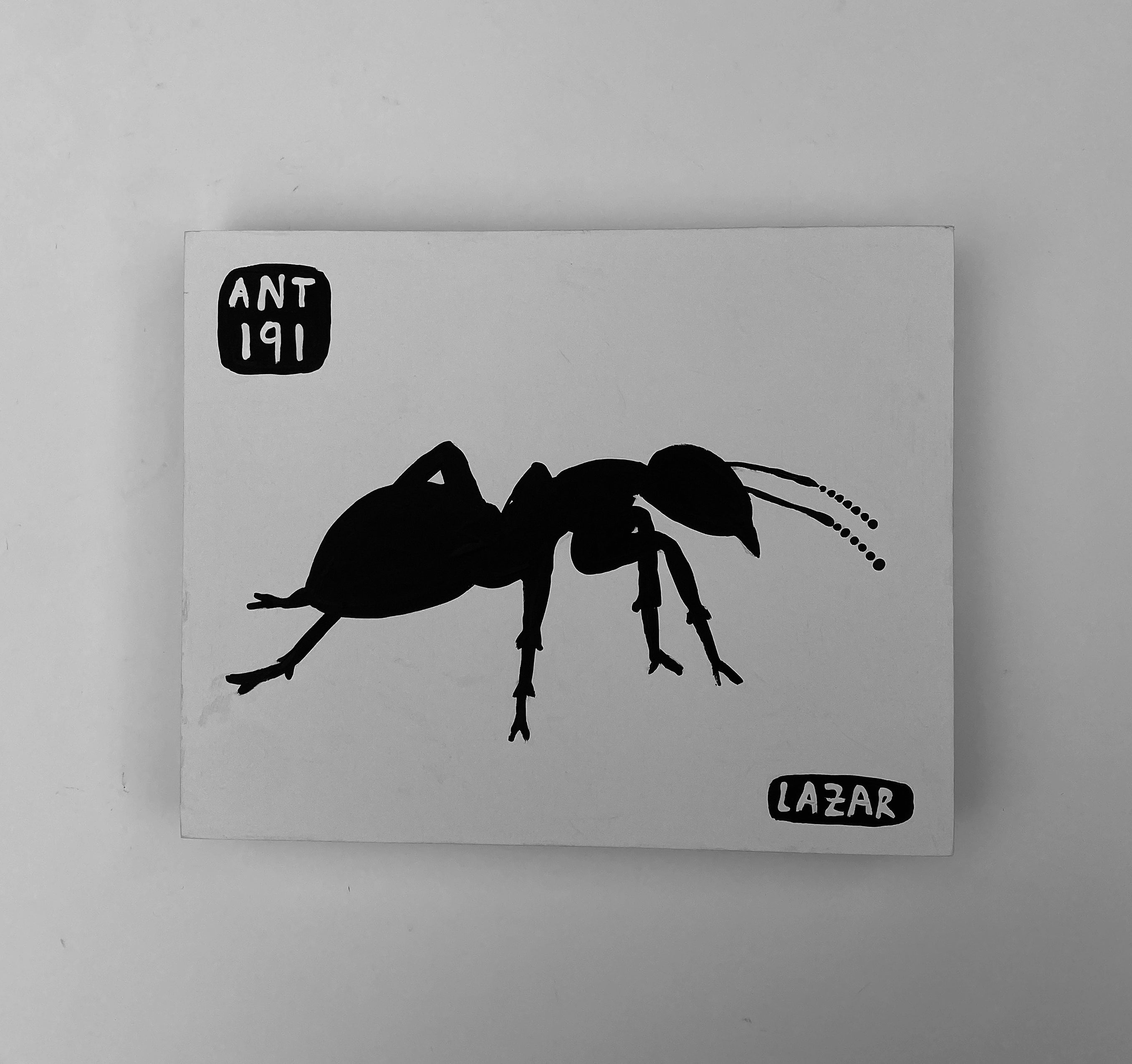 Ant #191