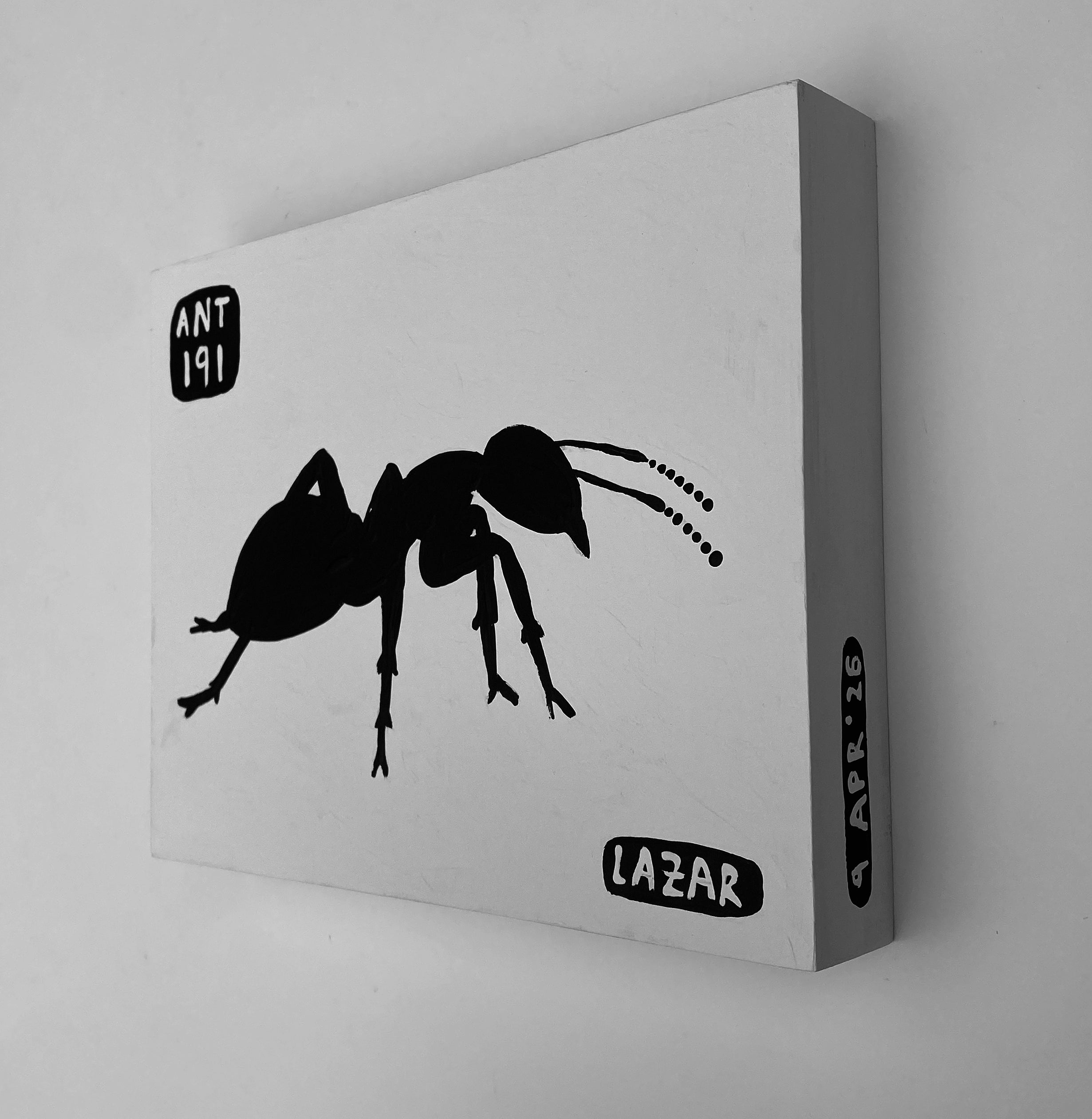 Ant #191