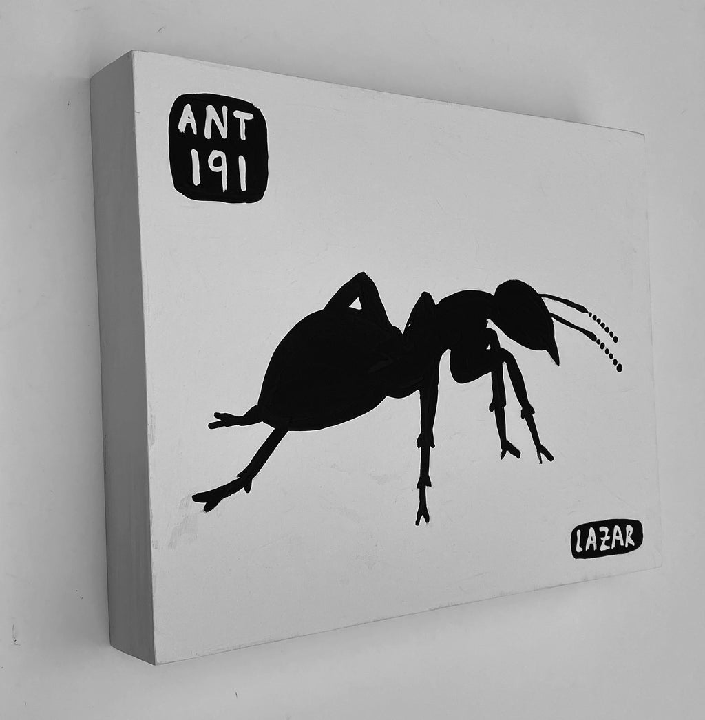 Ant #191