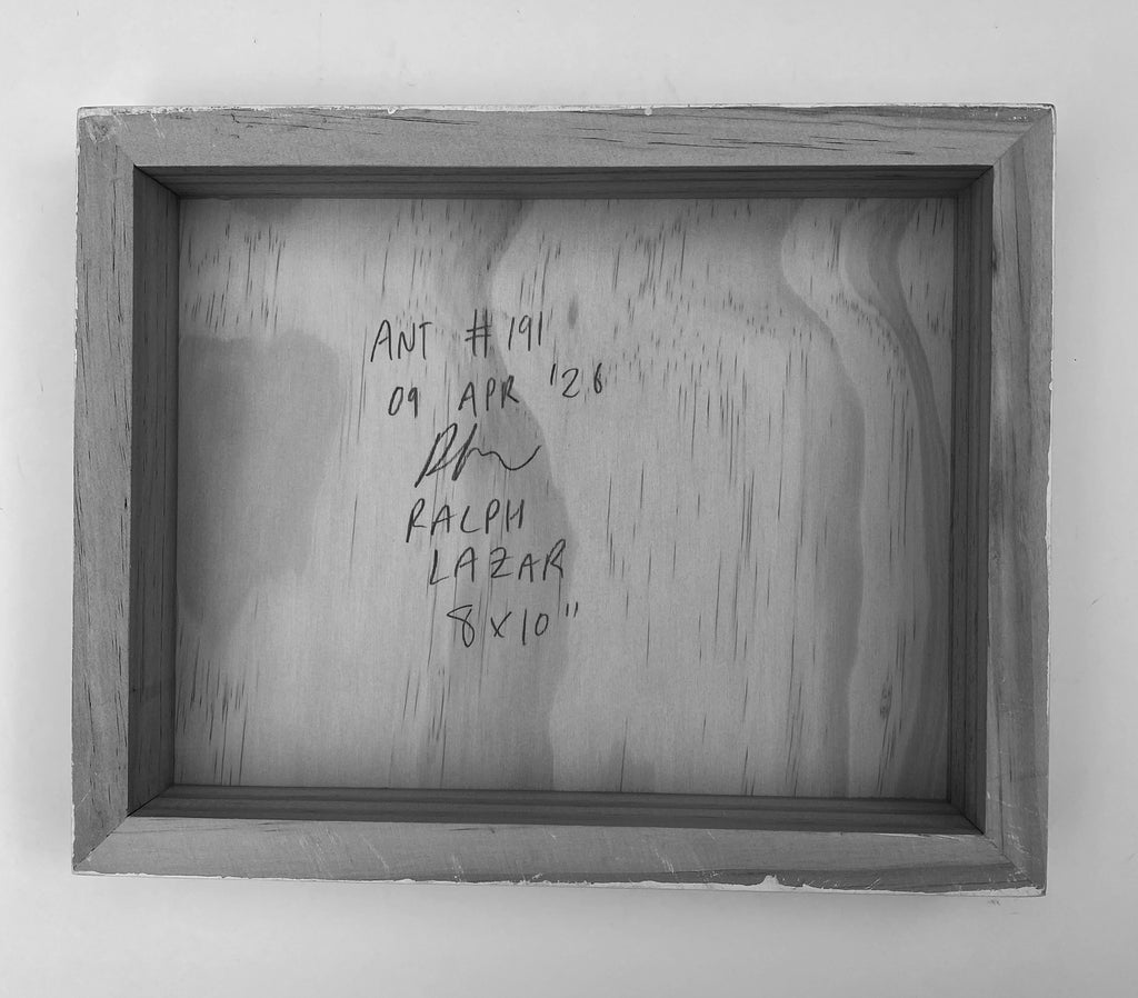 Ant #191