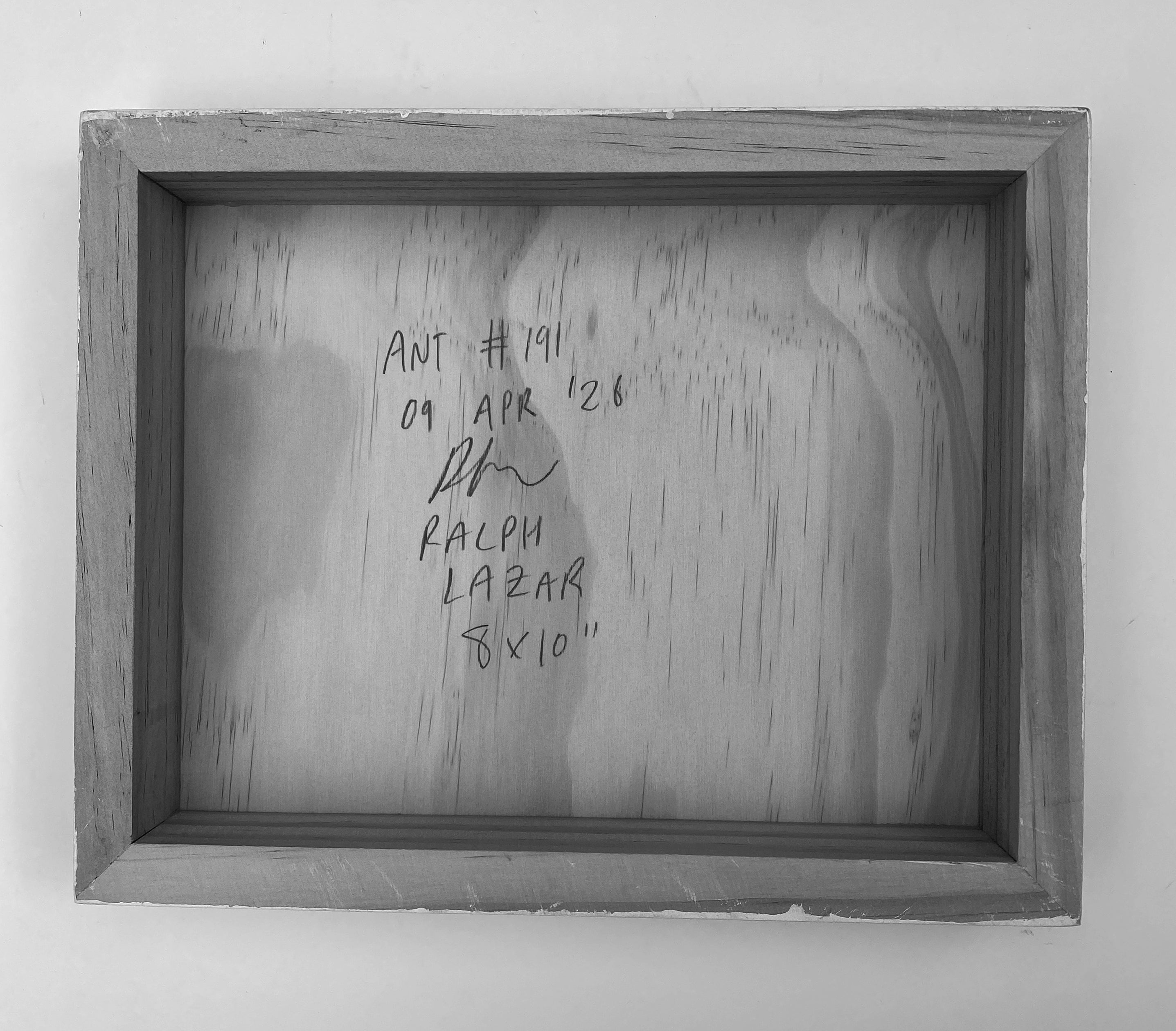 Ant #191