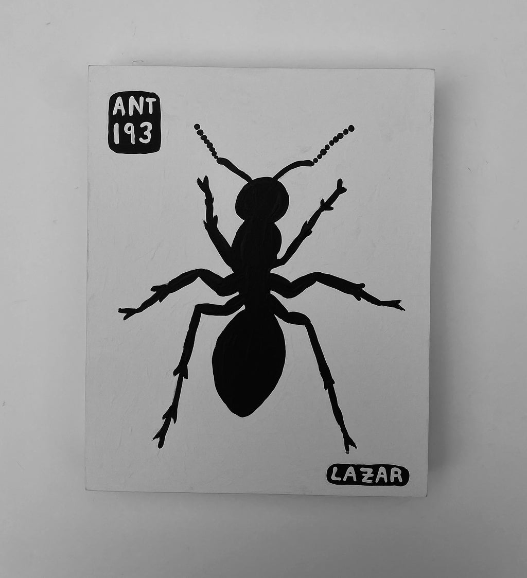 Ant #193