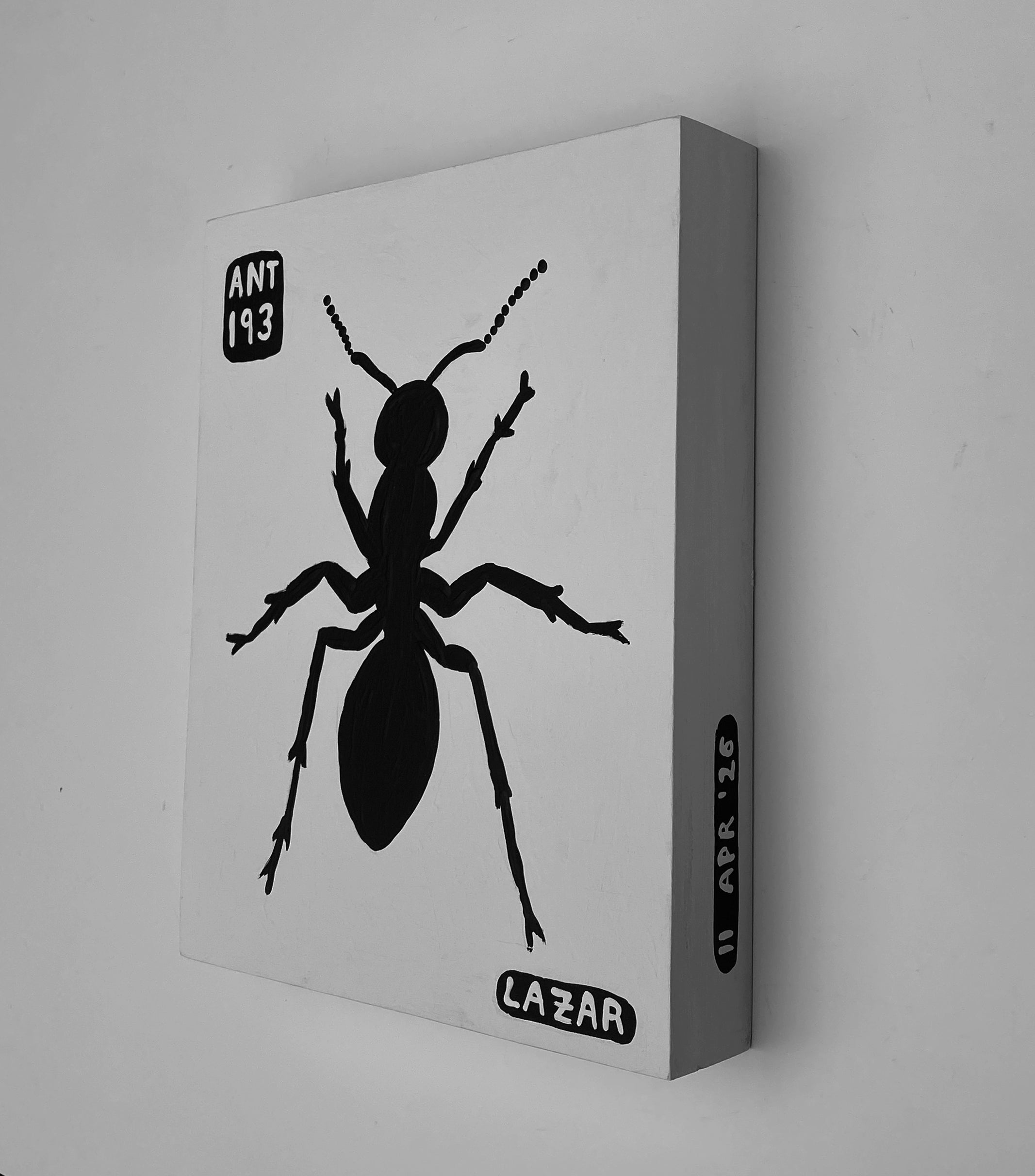 Ant #193