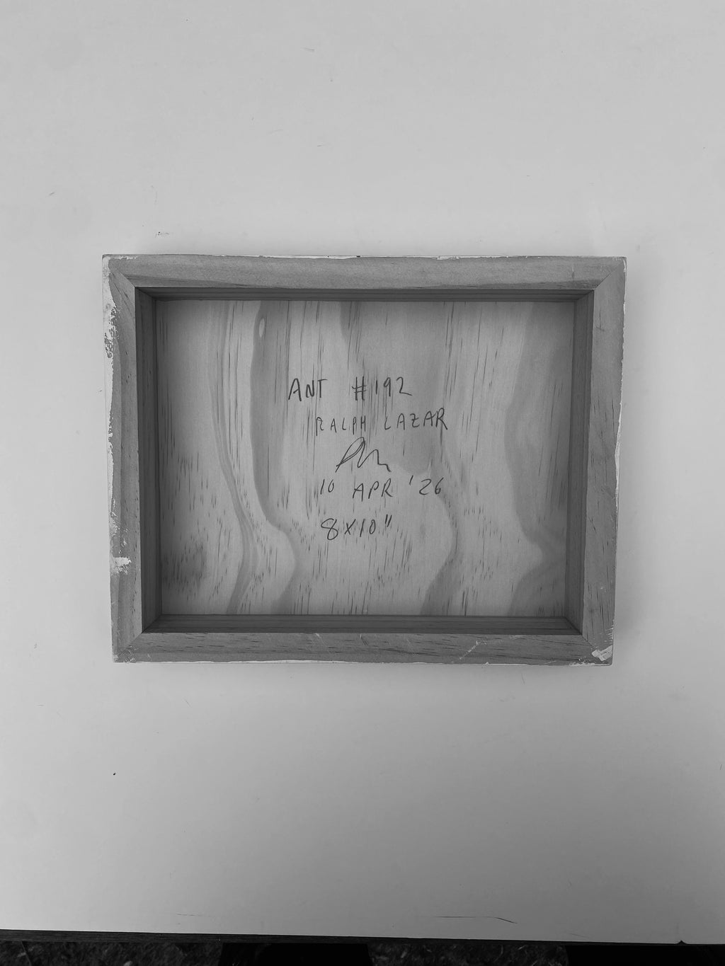 Ant #192