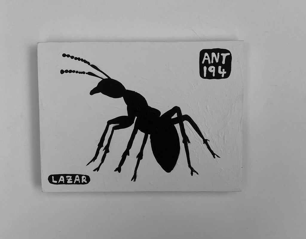 Ant #194