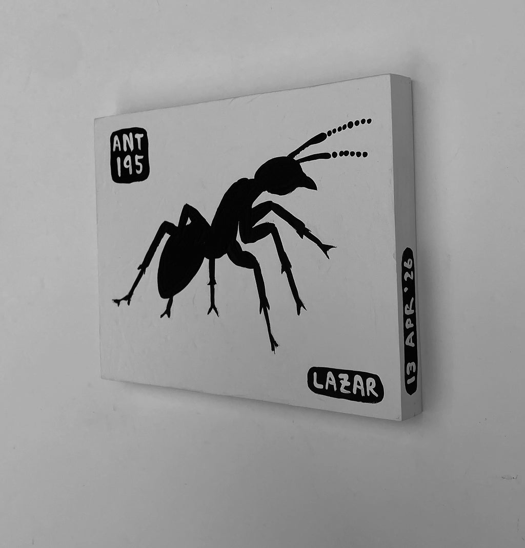 Ant #195