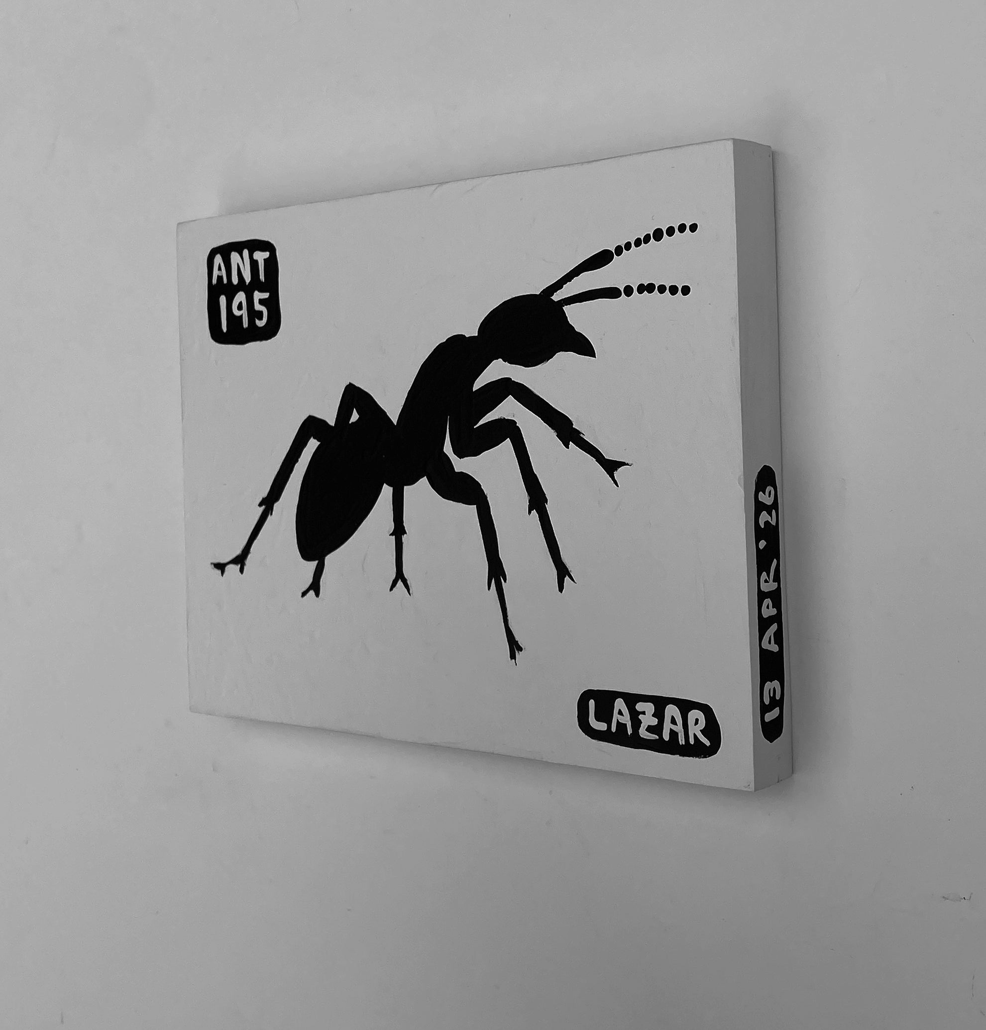 Ant #195