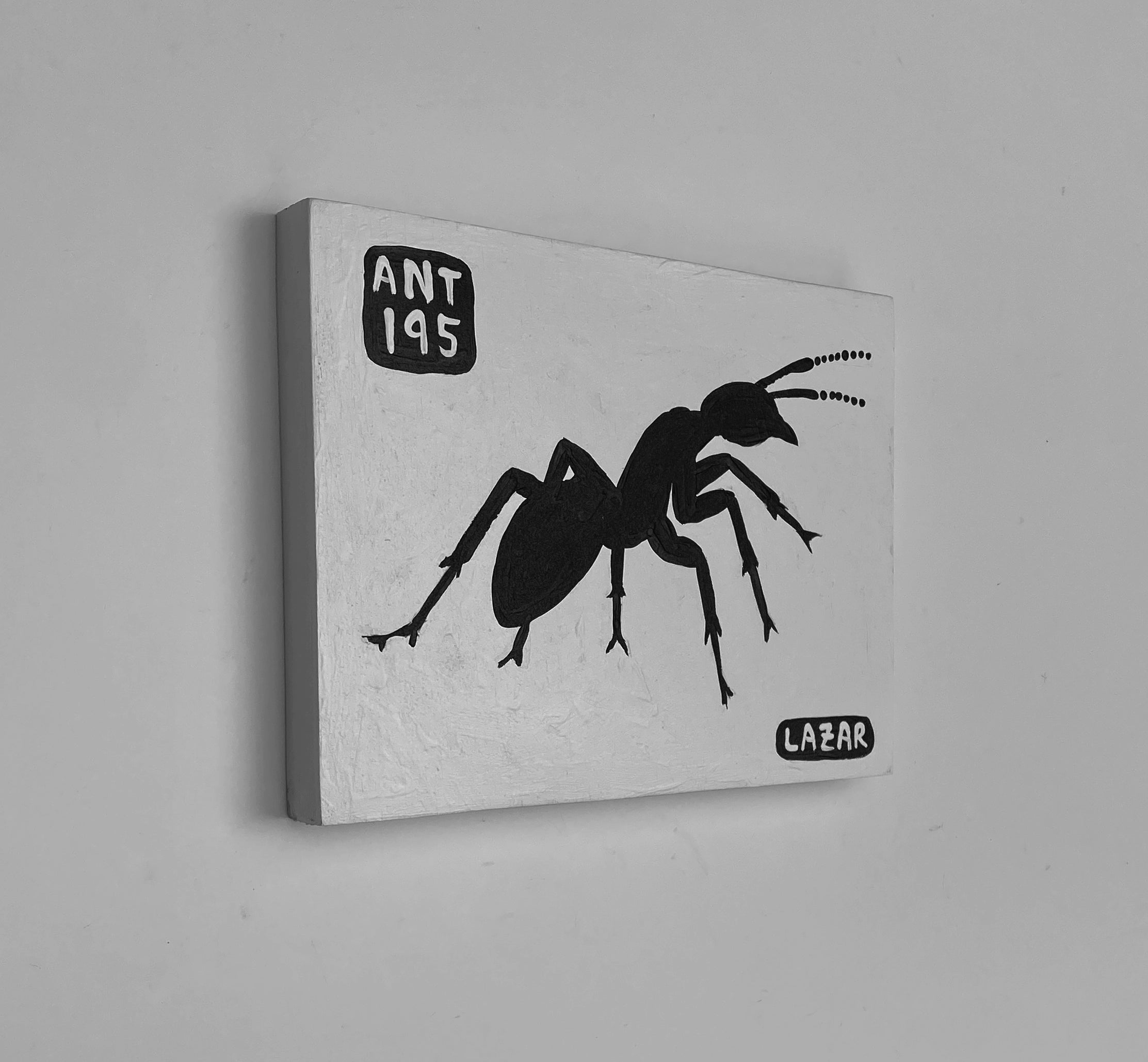 Ant #195
