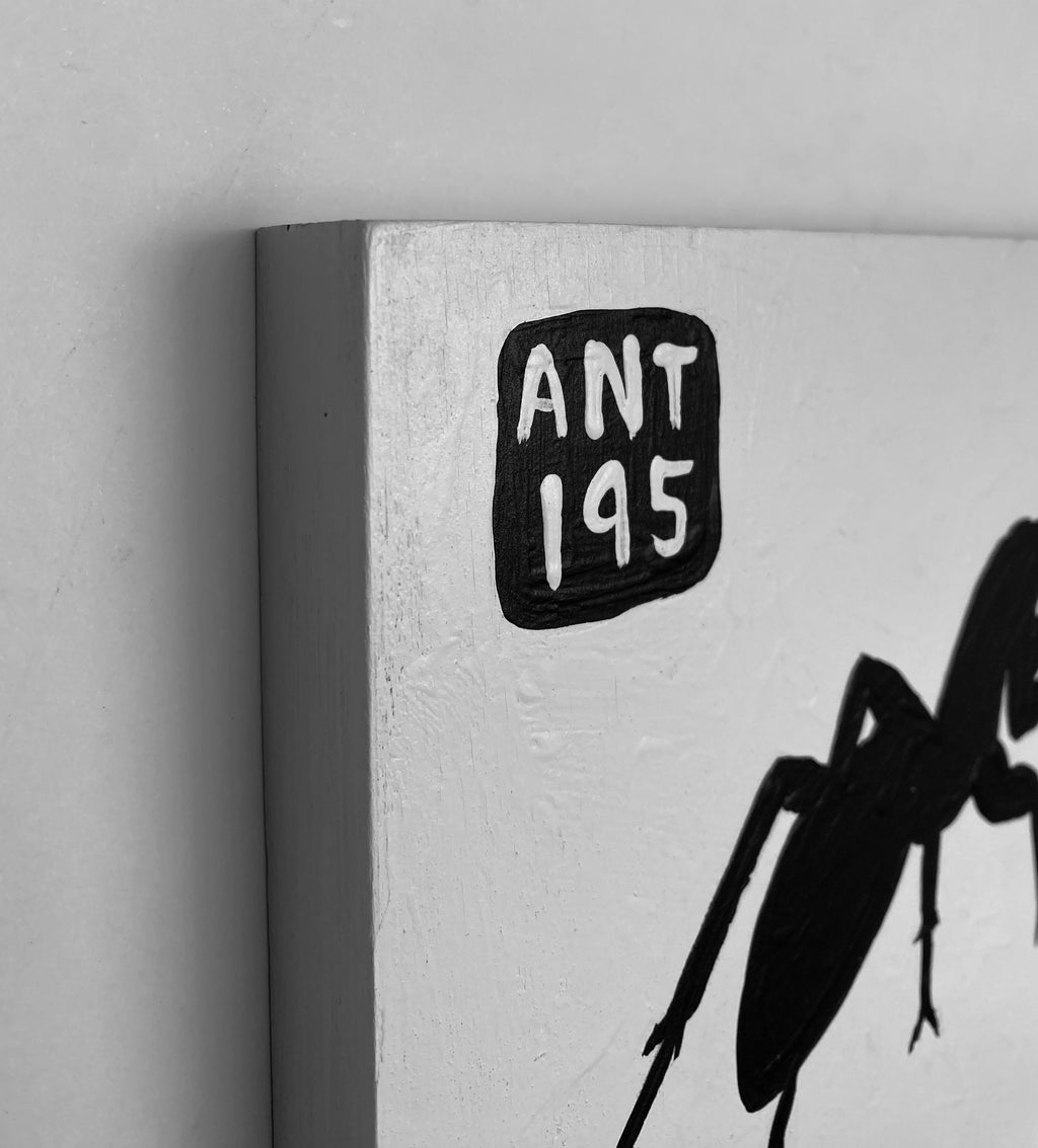 Ant #195