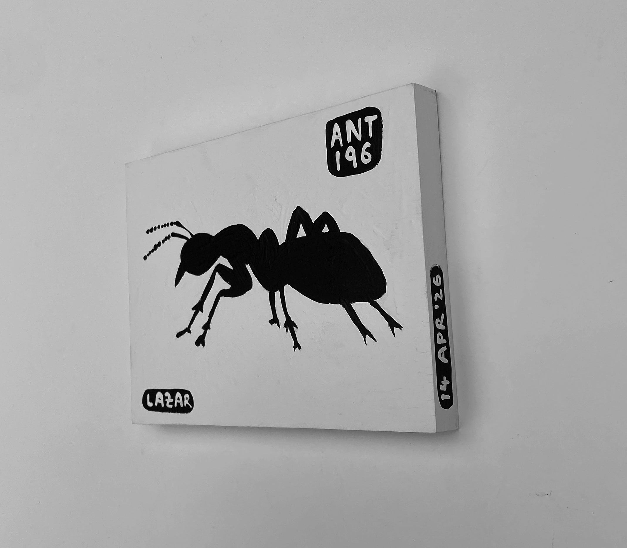 Ant #196