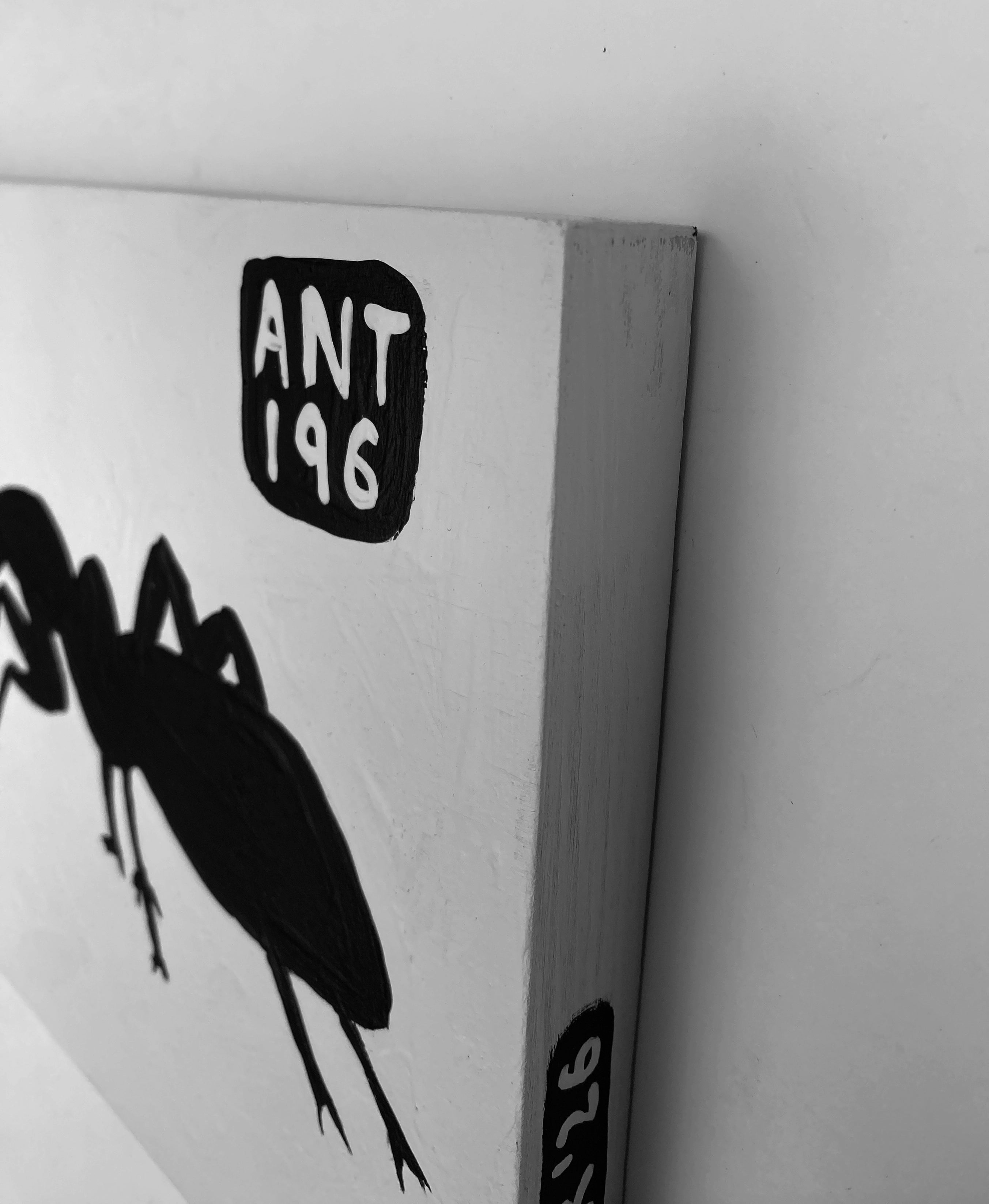 Ant #196