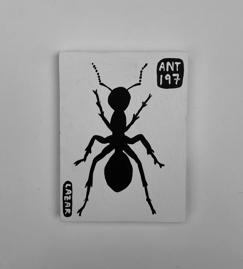 Ant #197