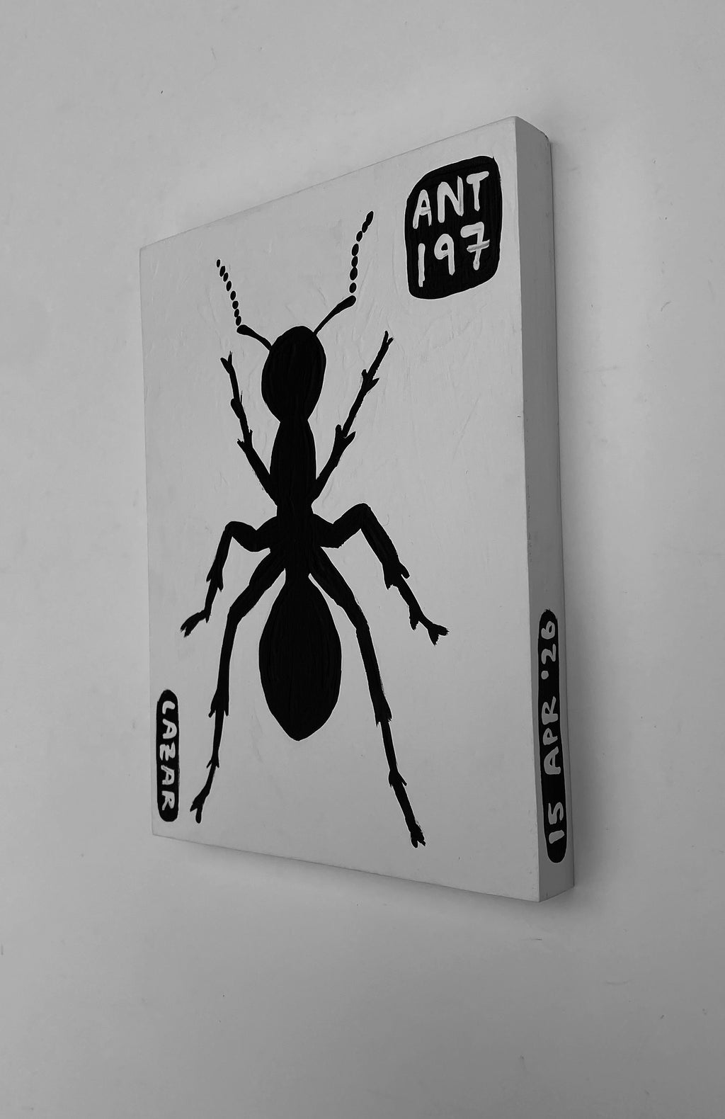 Ant #197