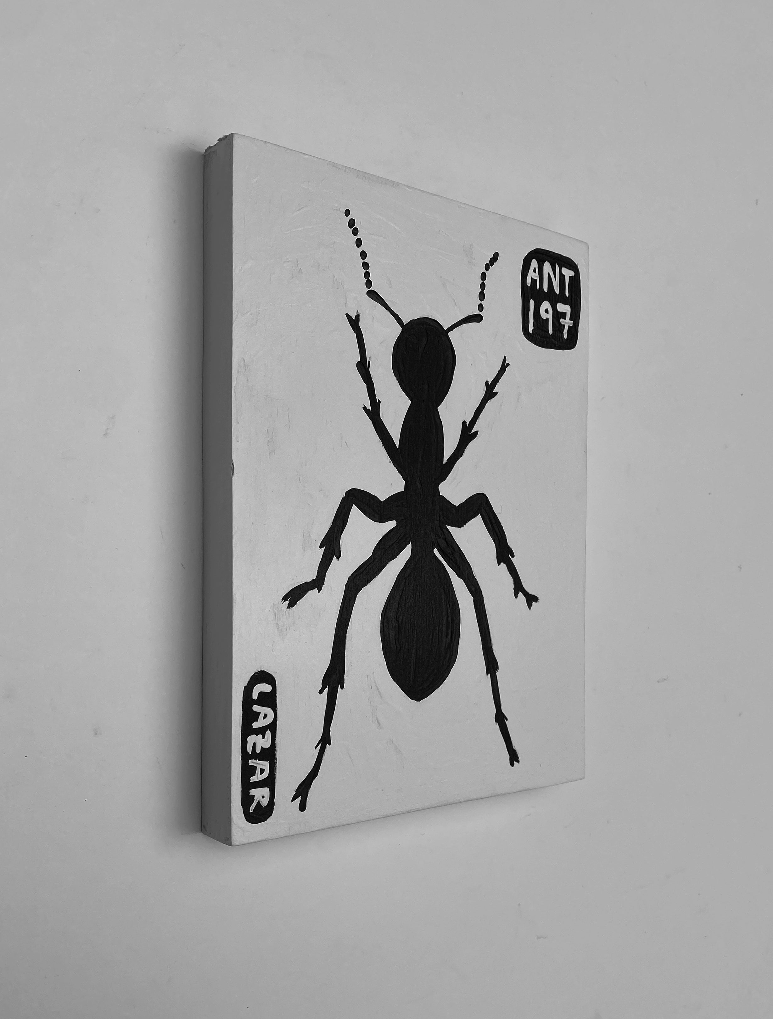 Ant #197