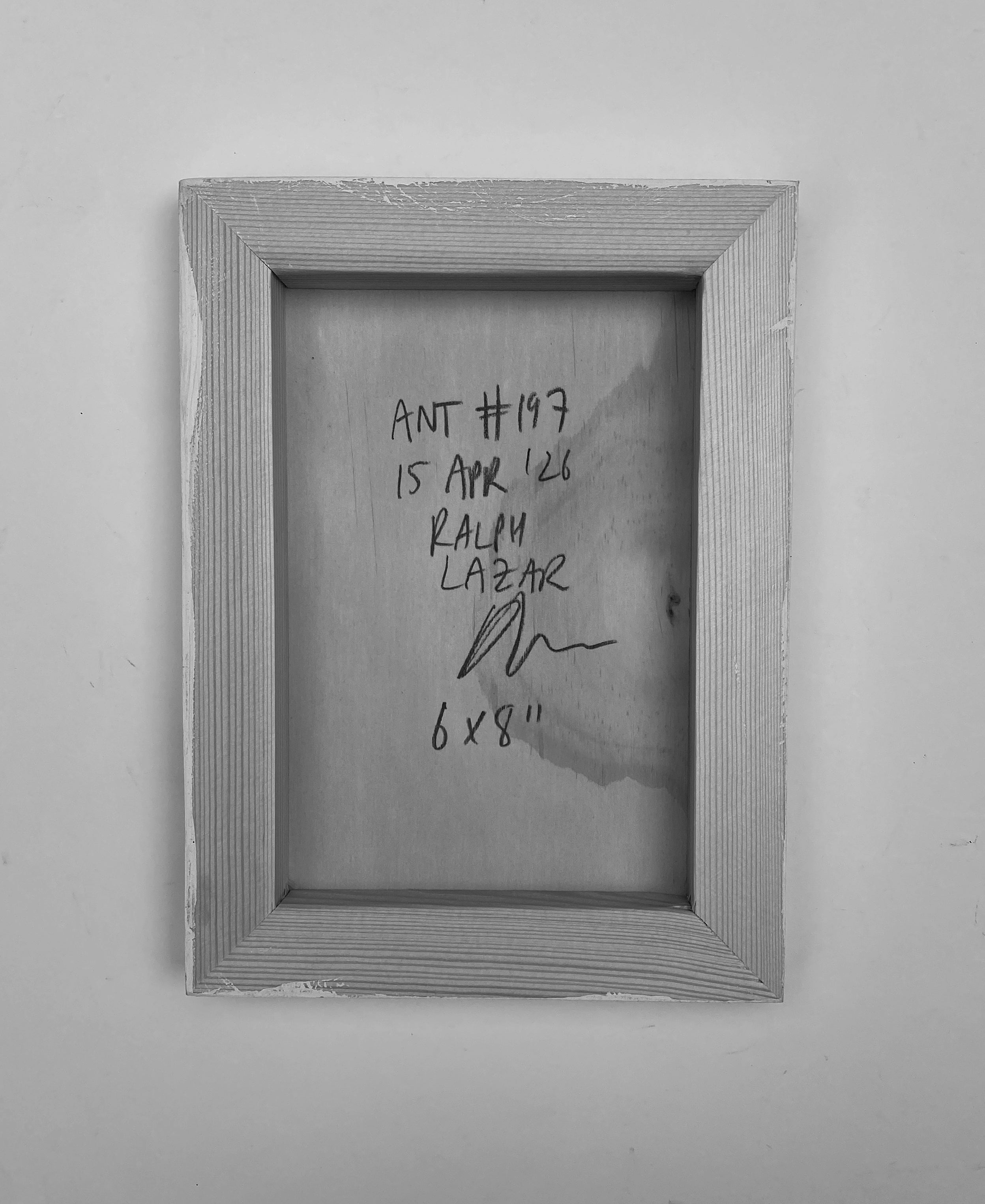 Ant #197