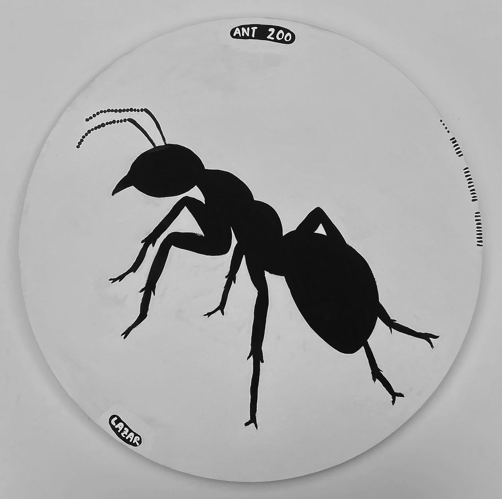 Ant #200