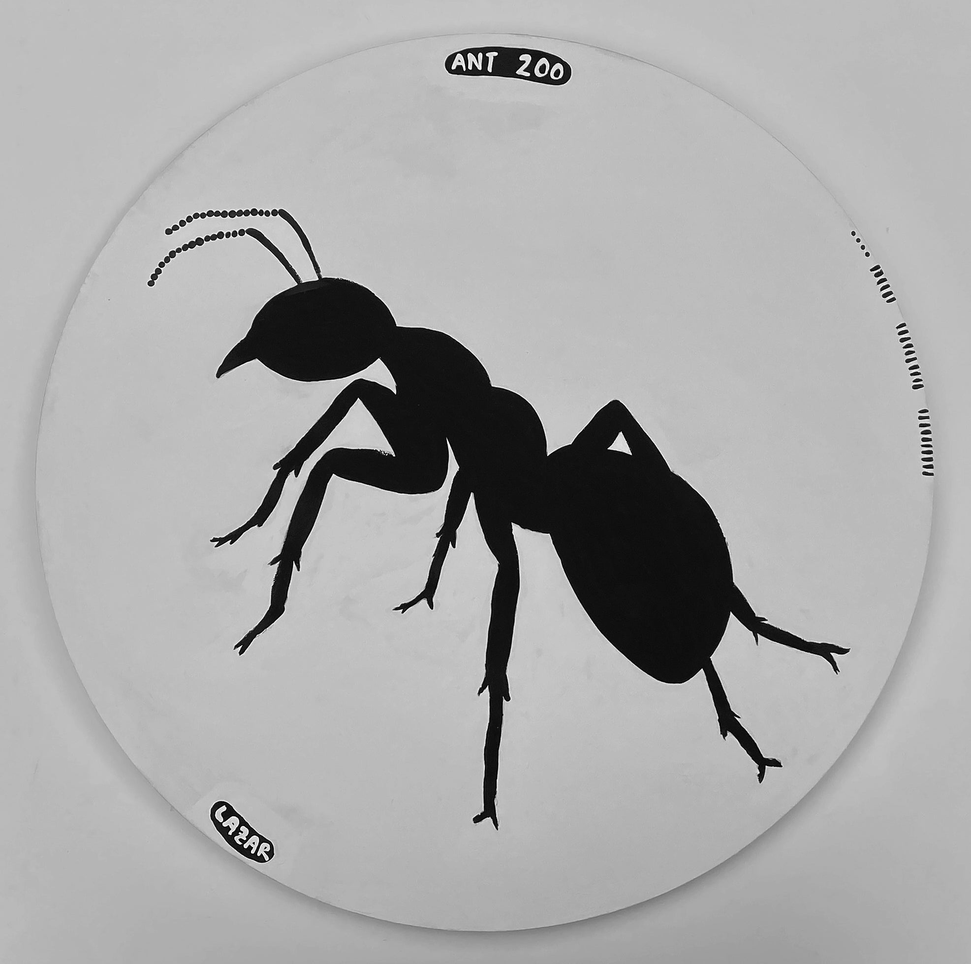 Ant #200