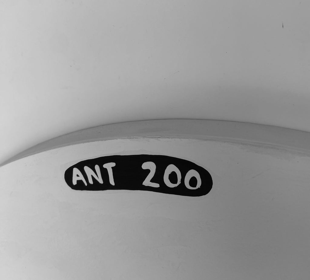 Ant #200