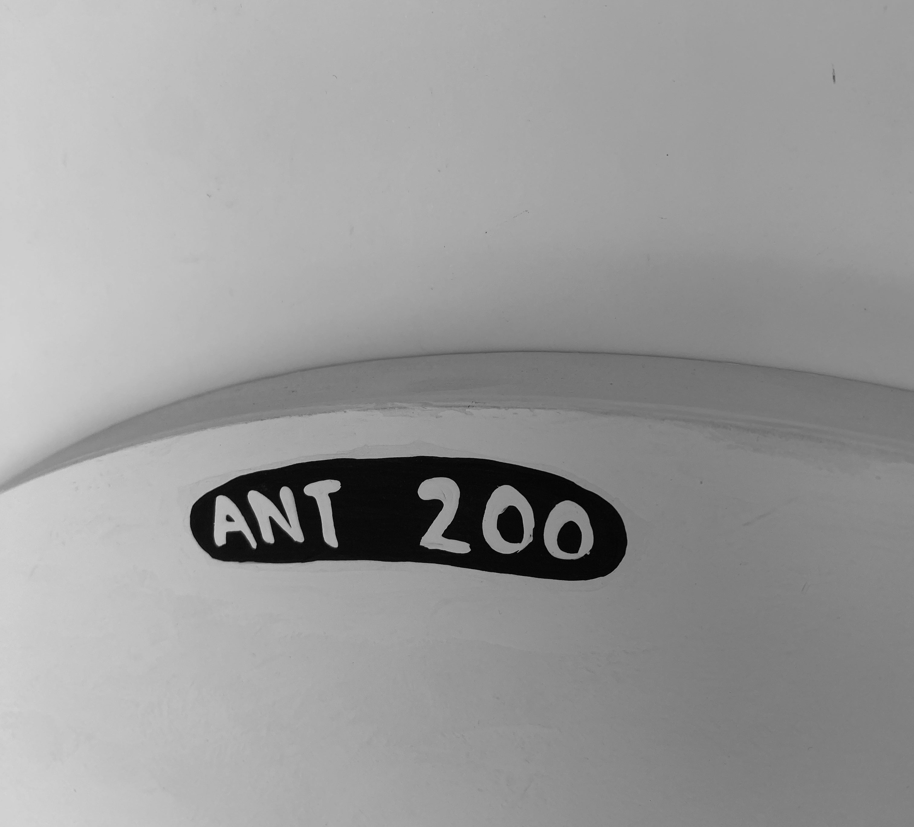 Ant #200