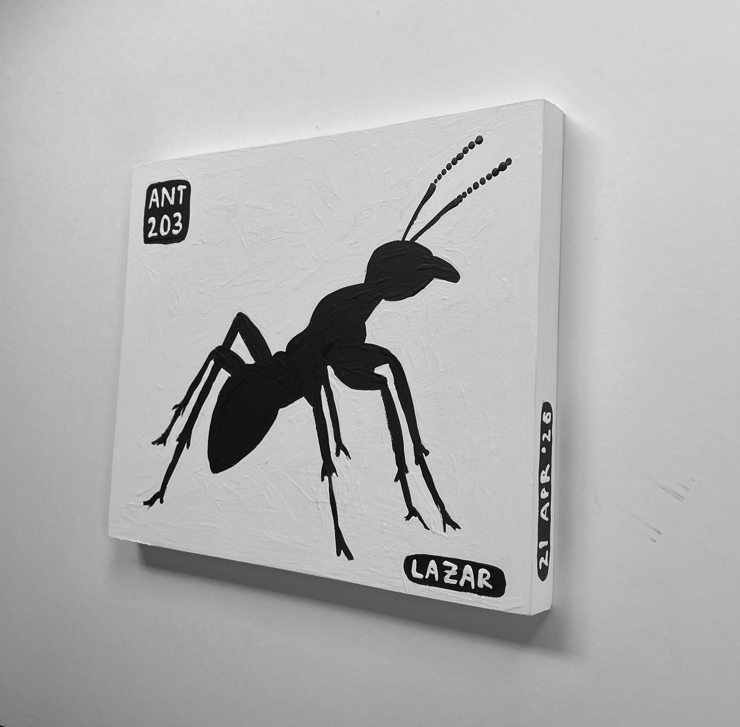 Ant #203