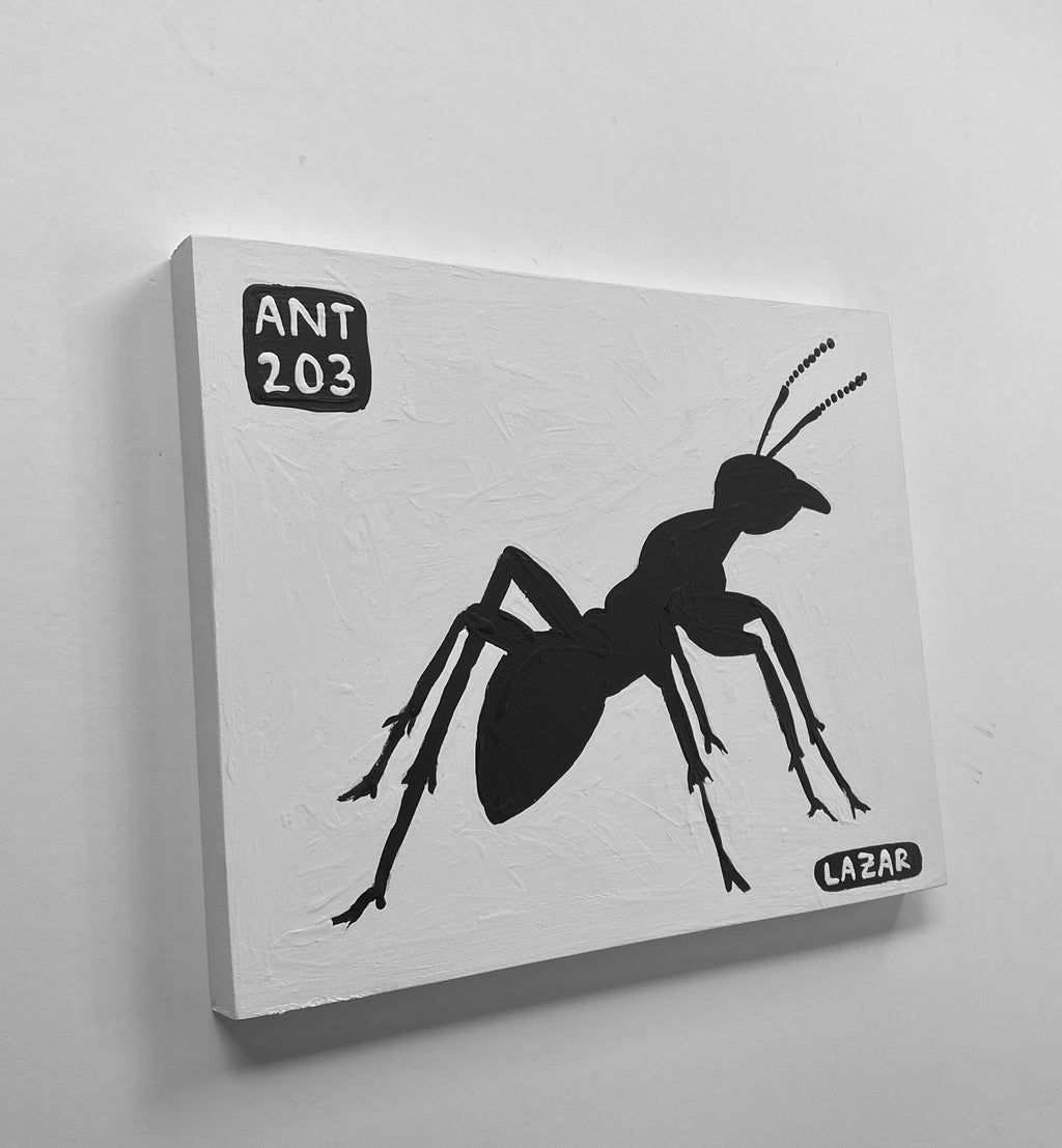 Ant #203