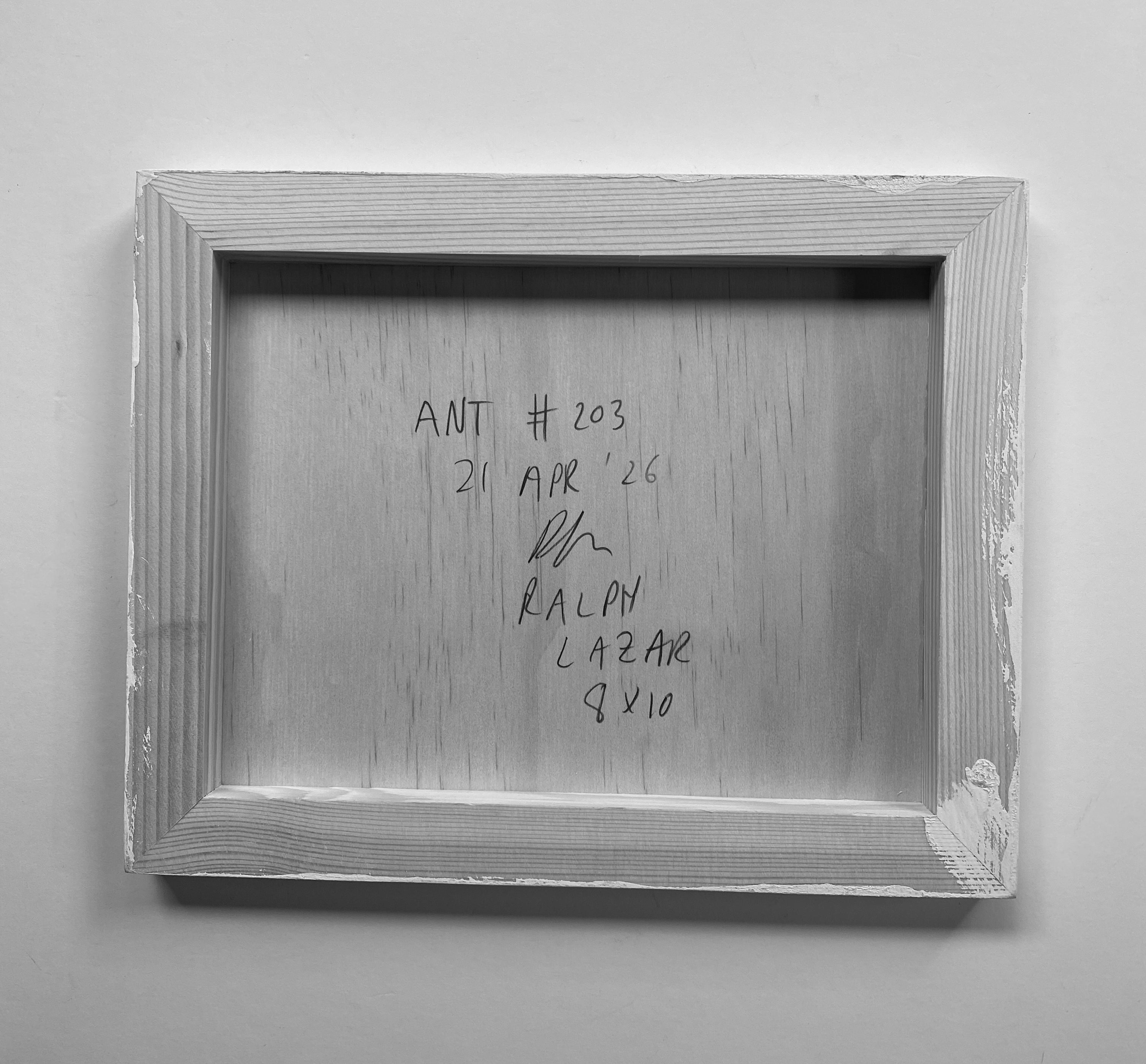 Ant #203