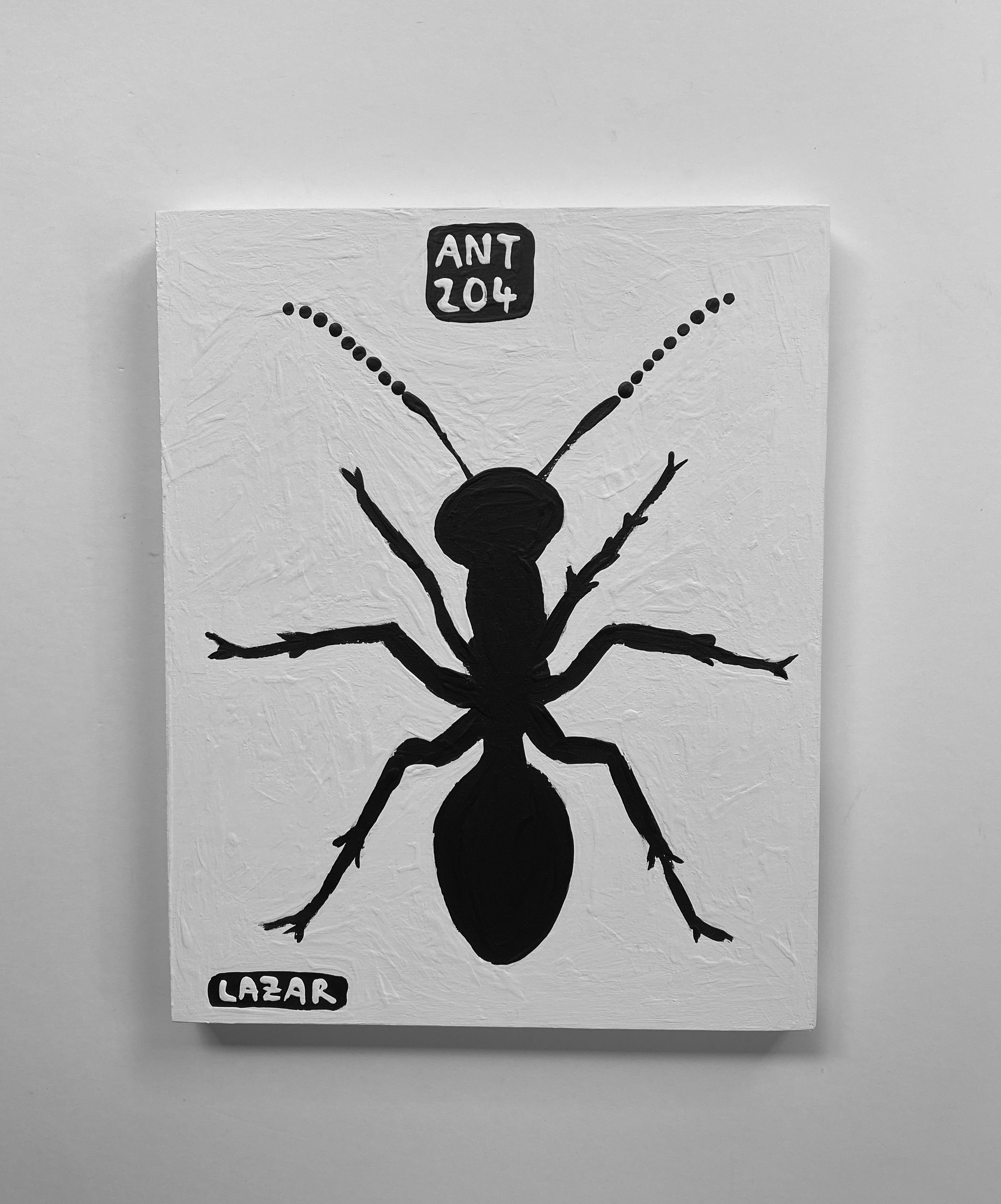 Ant #204