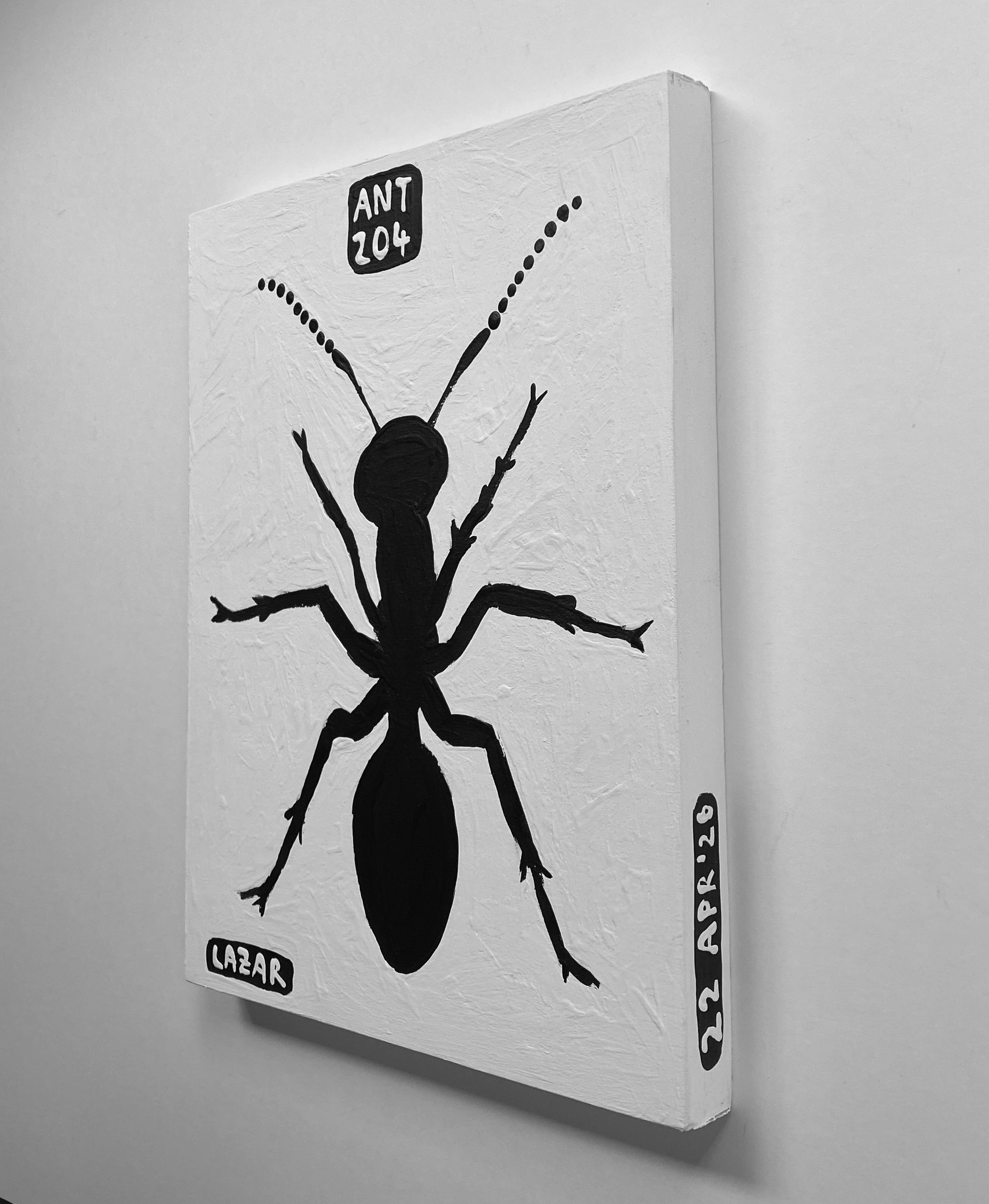 Ant #204