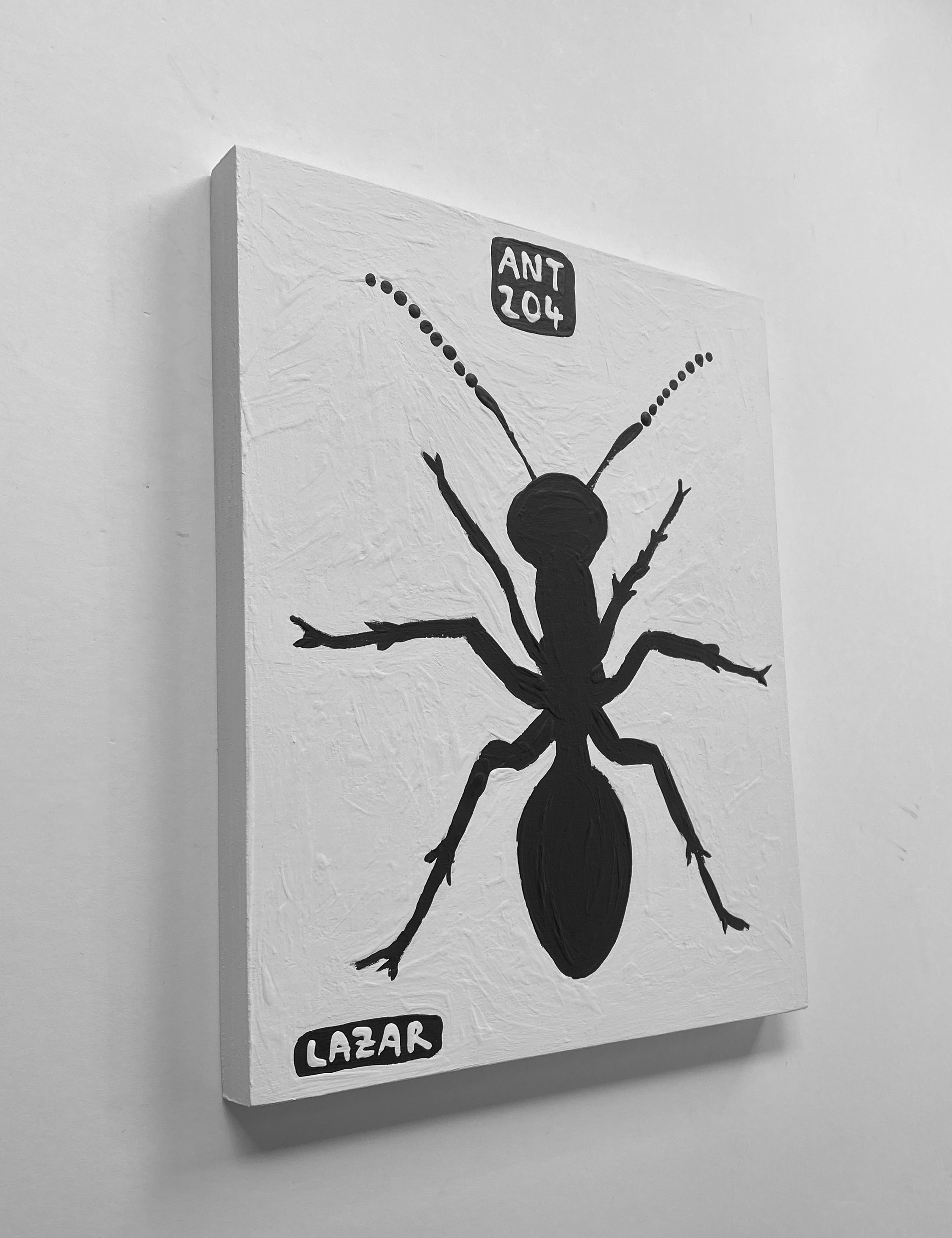 Ant #204