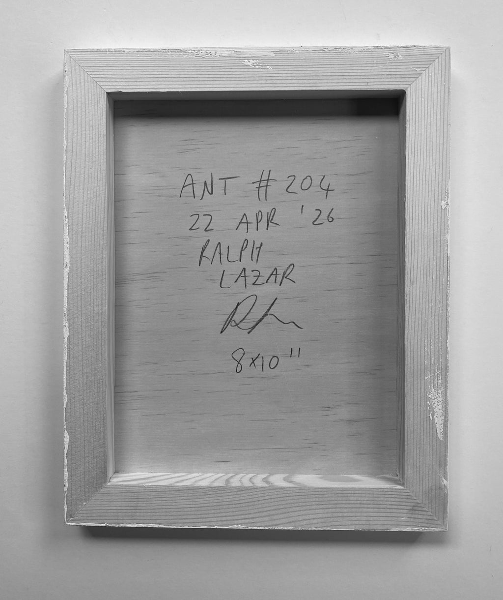 Ant #204