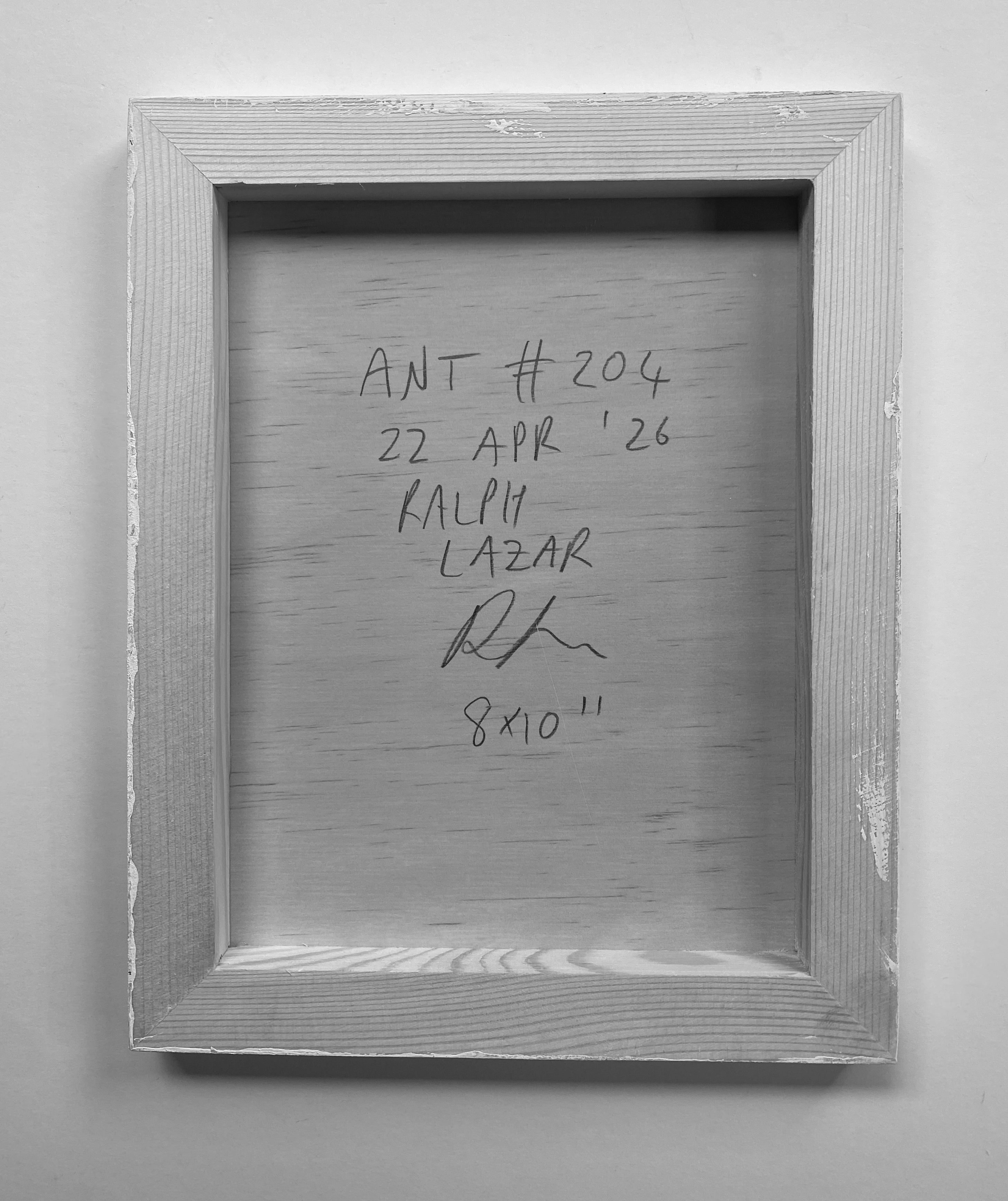 Ant #204
