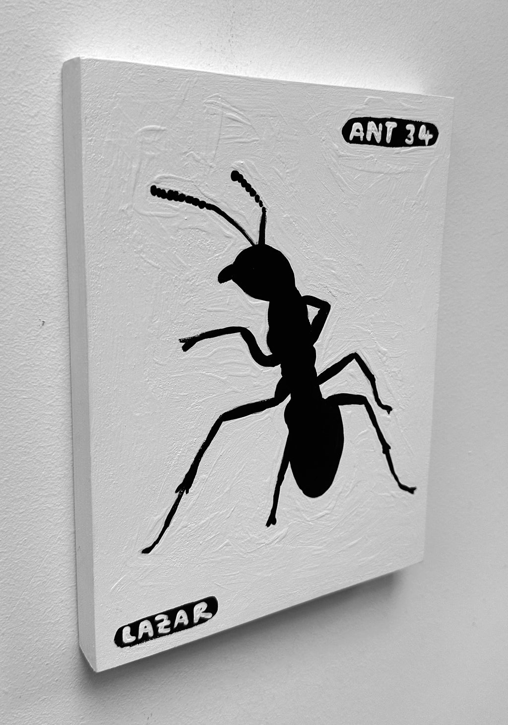 Ant #34