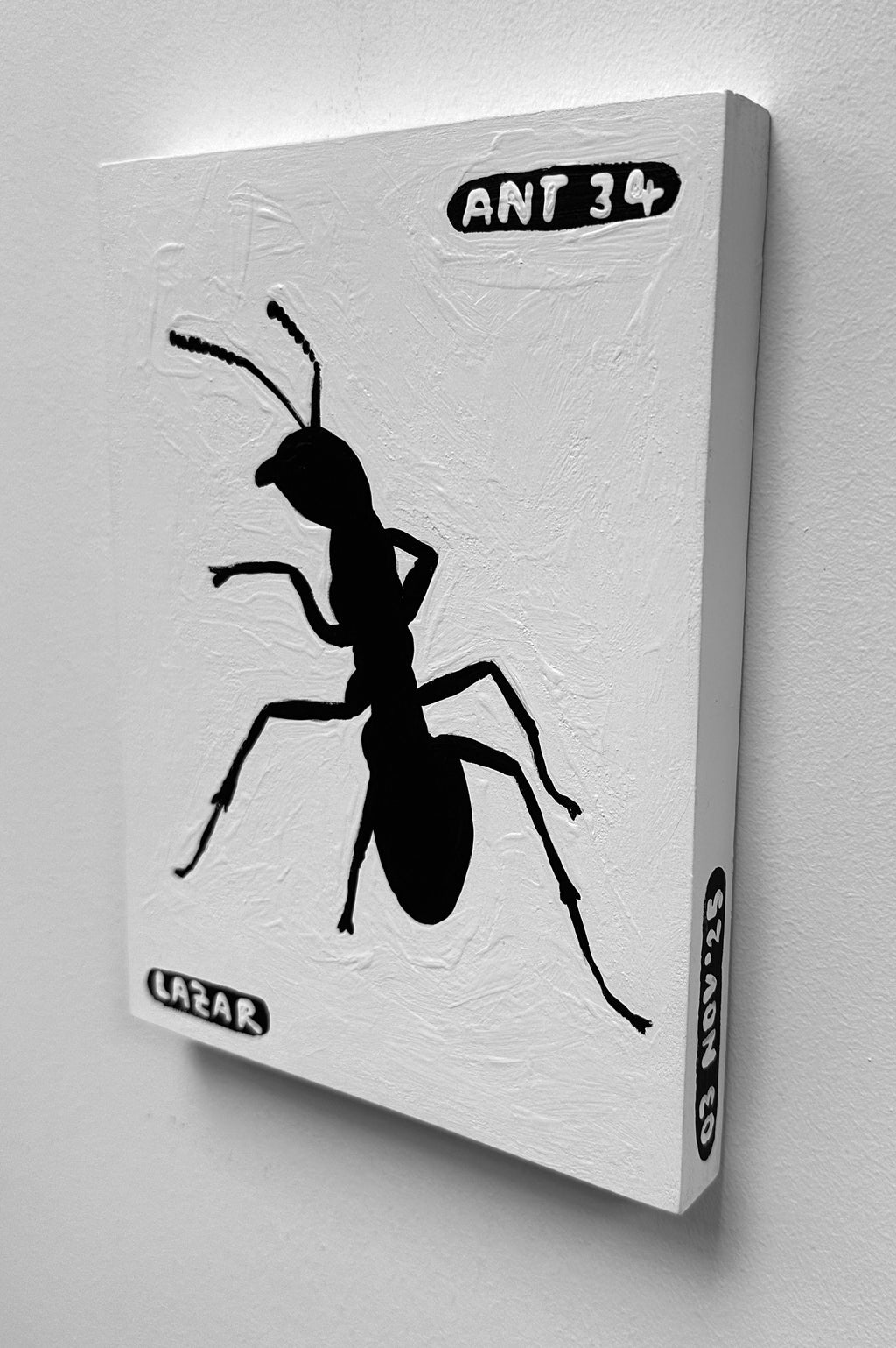Ant #34