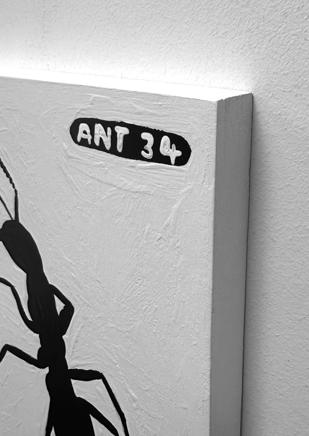Ant #34