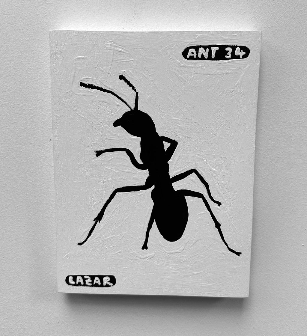 Ant #34
