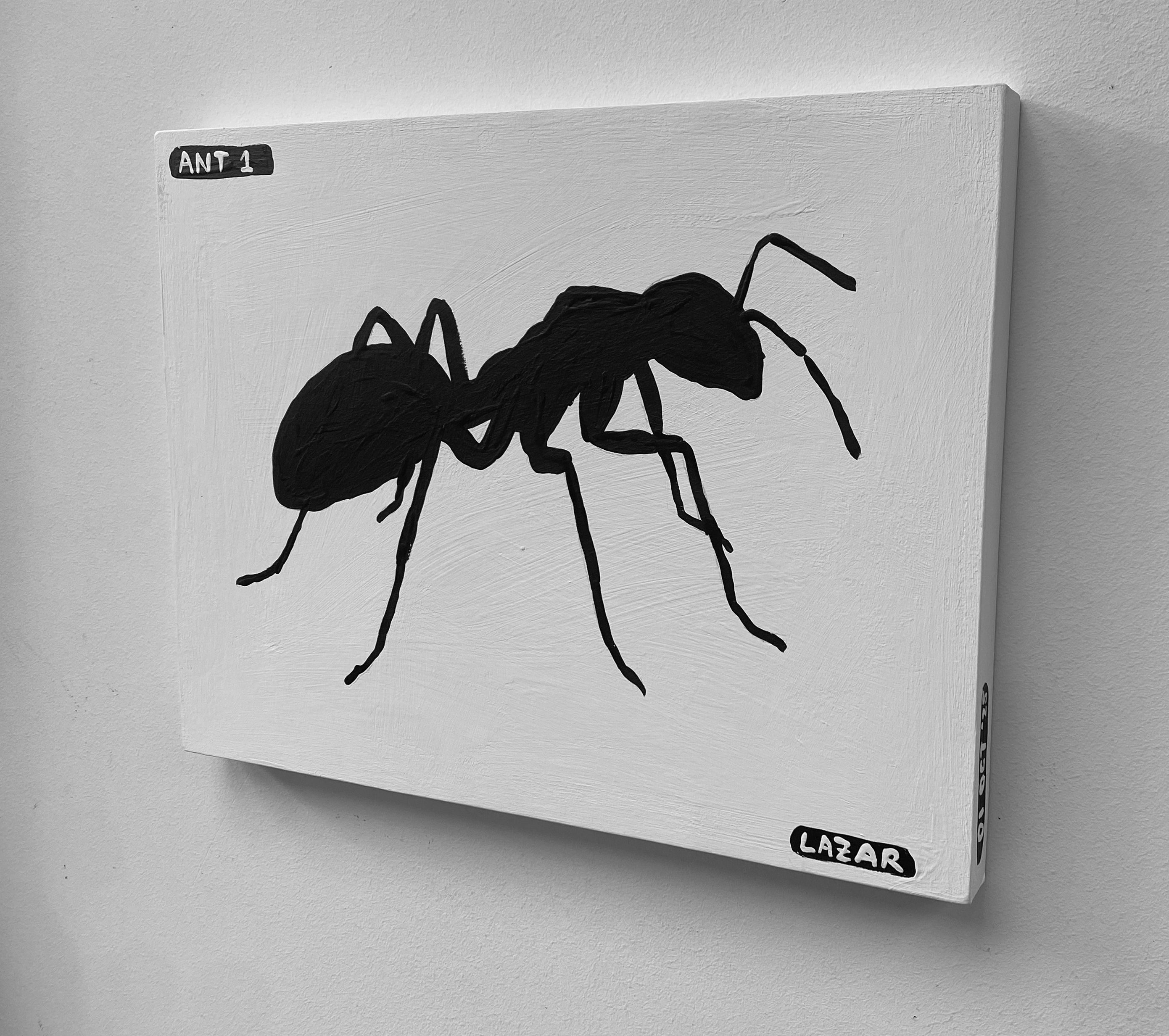 Ant #01