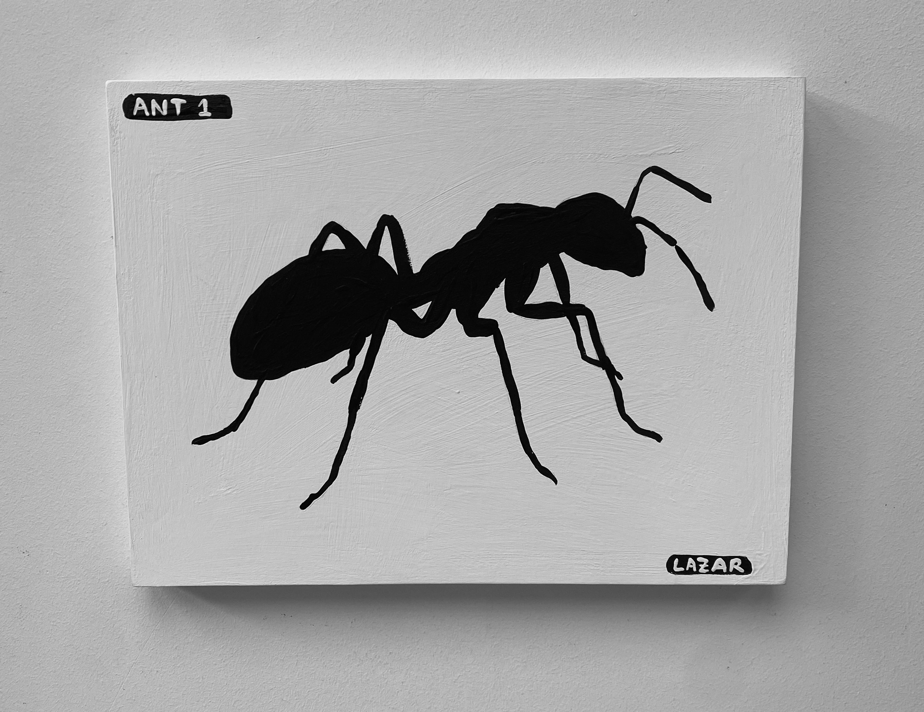 Ant #01