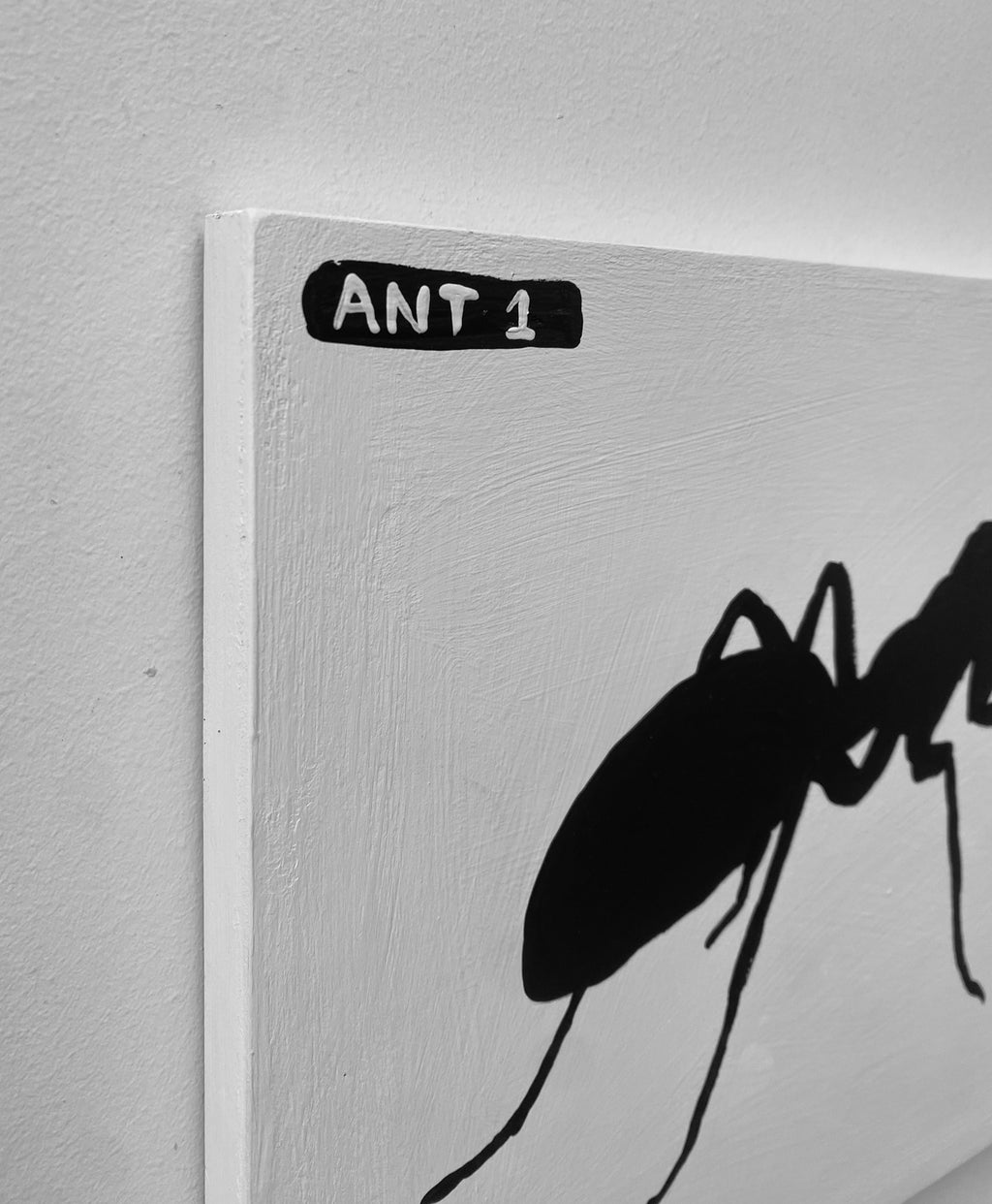 Ant #01
