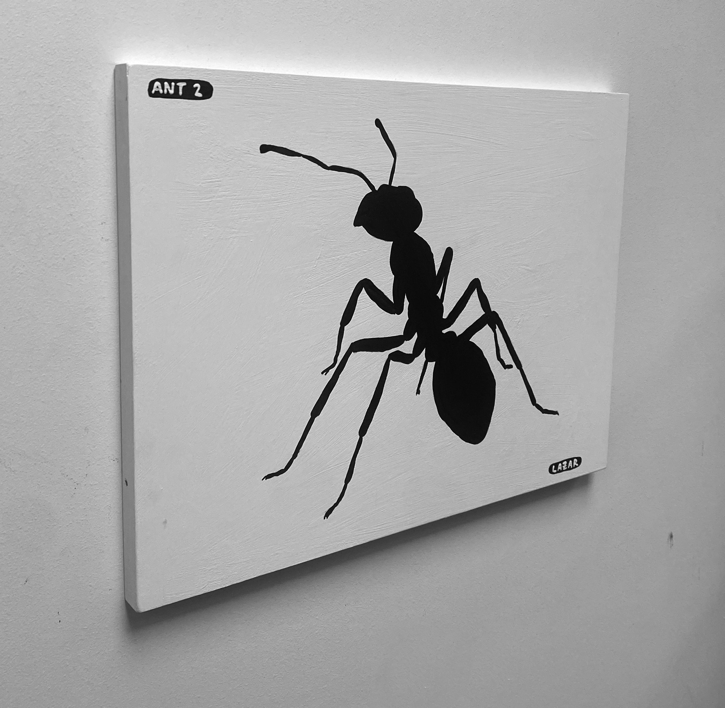 Ant #02