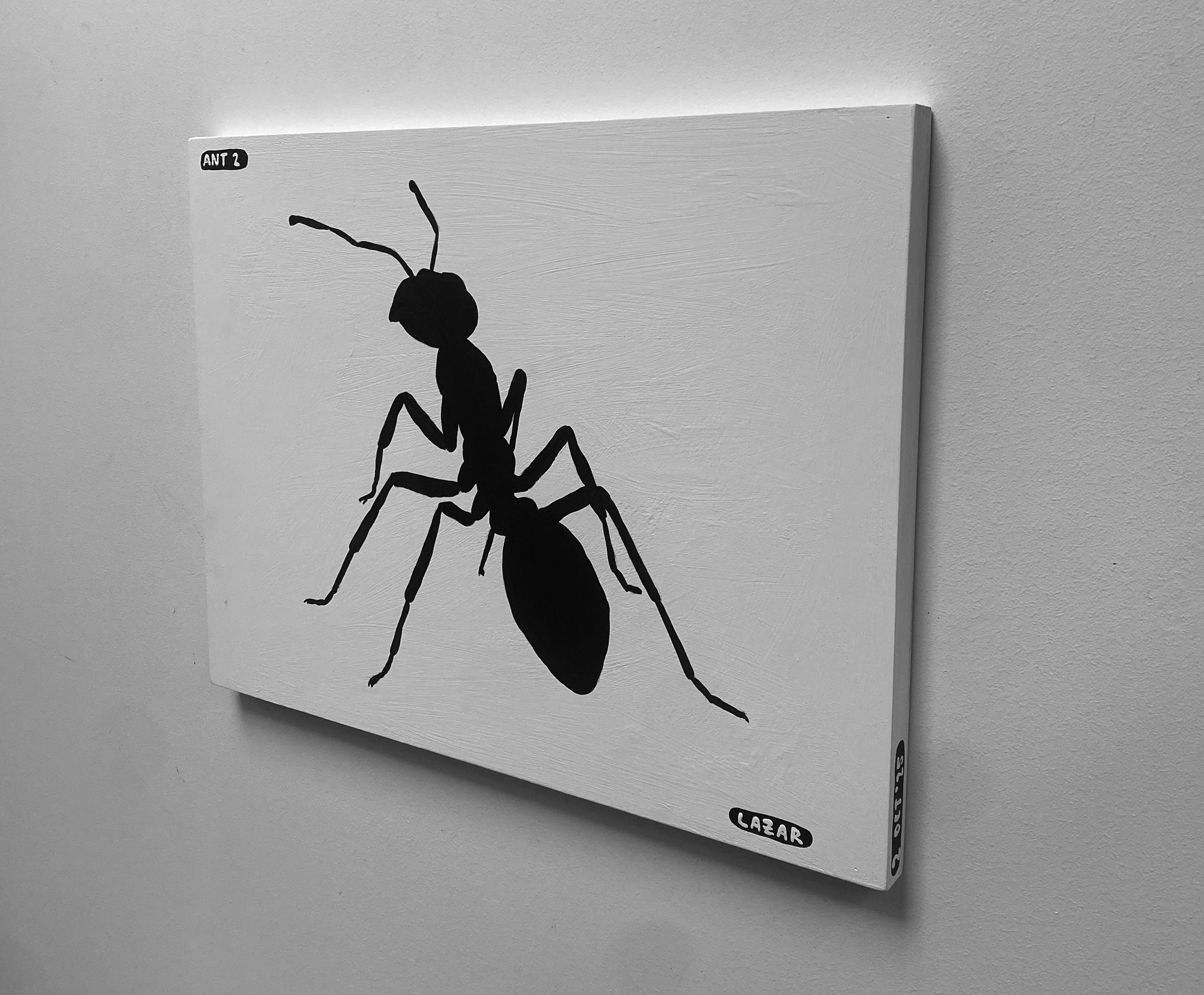 Ant #02