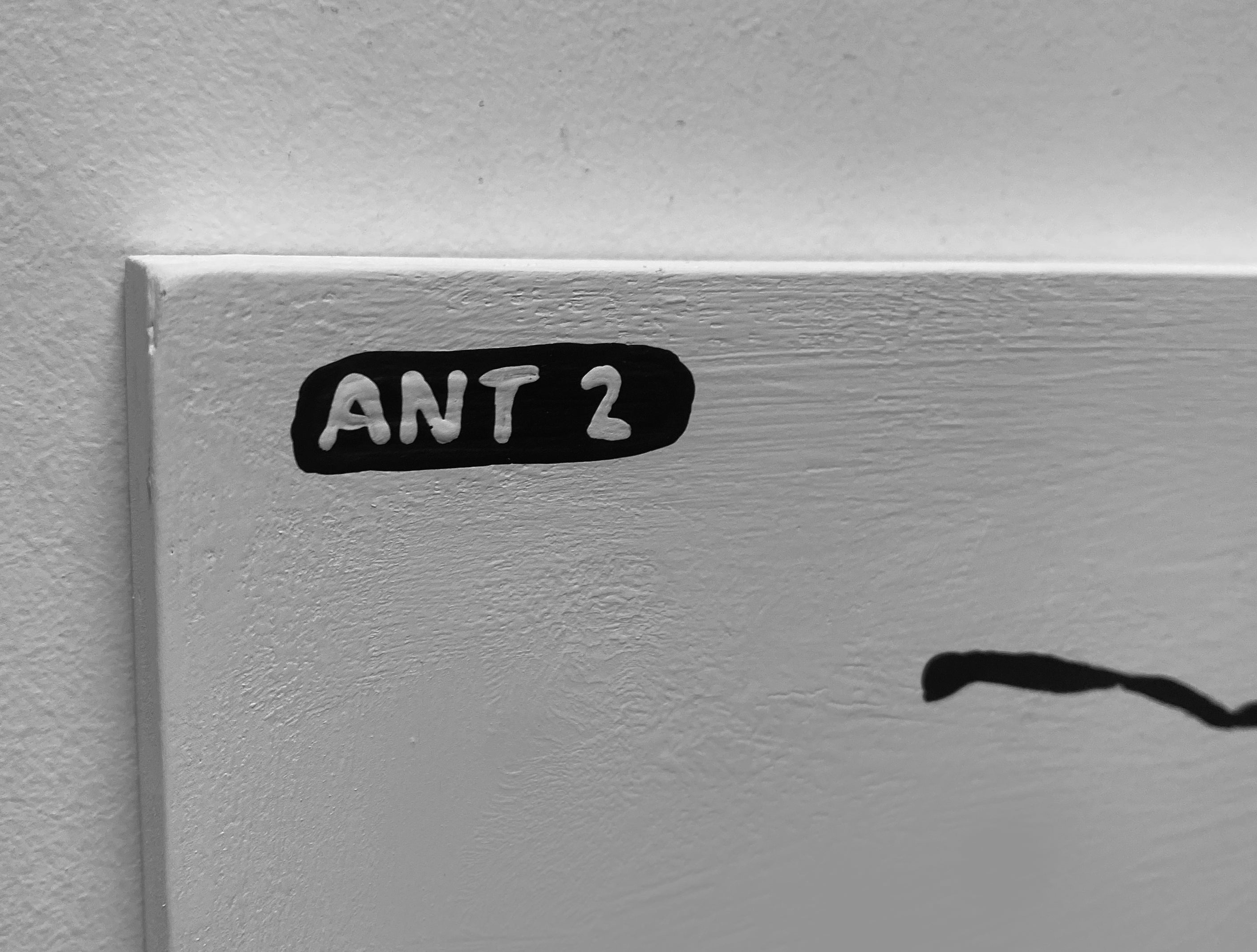 Ant #02