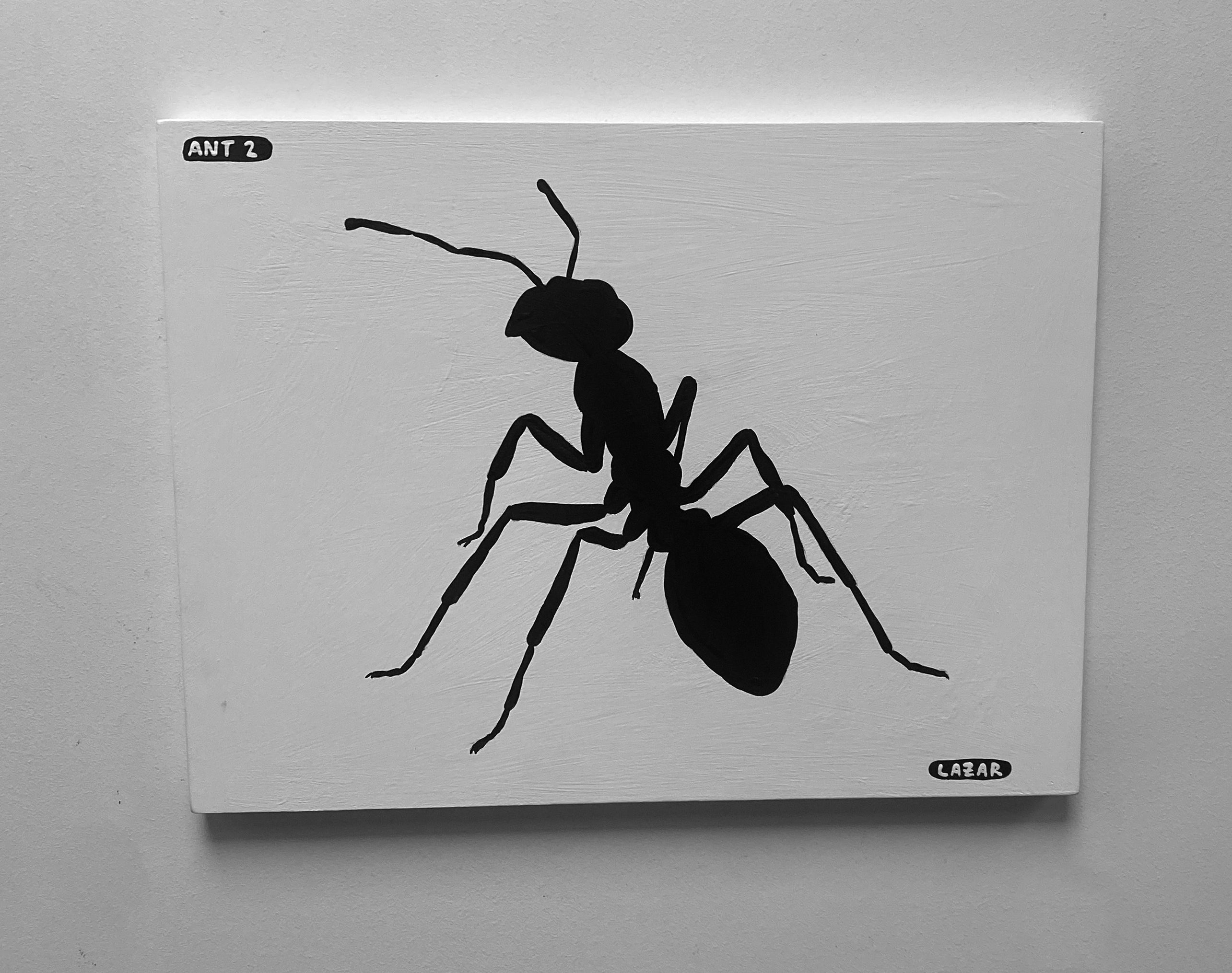 Ant #02