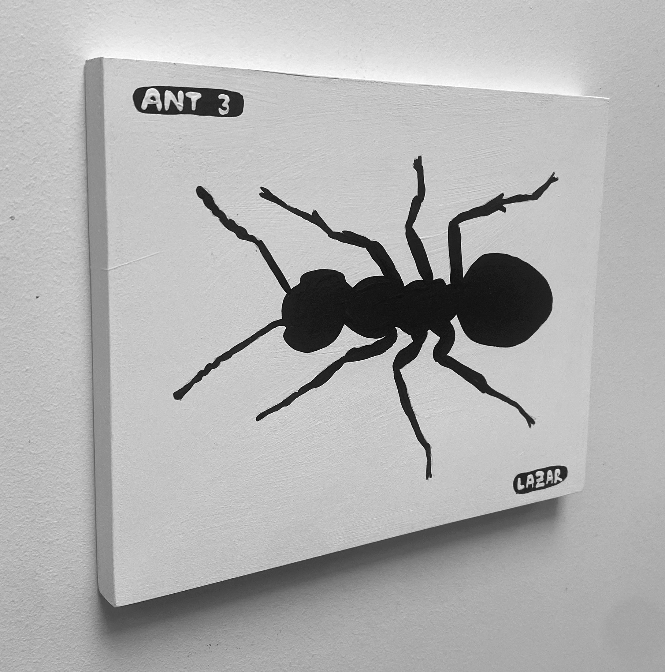 Ant #03