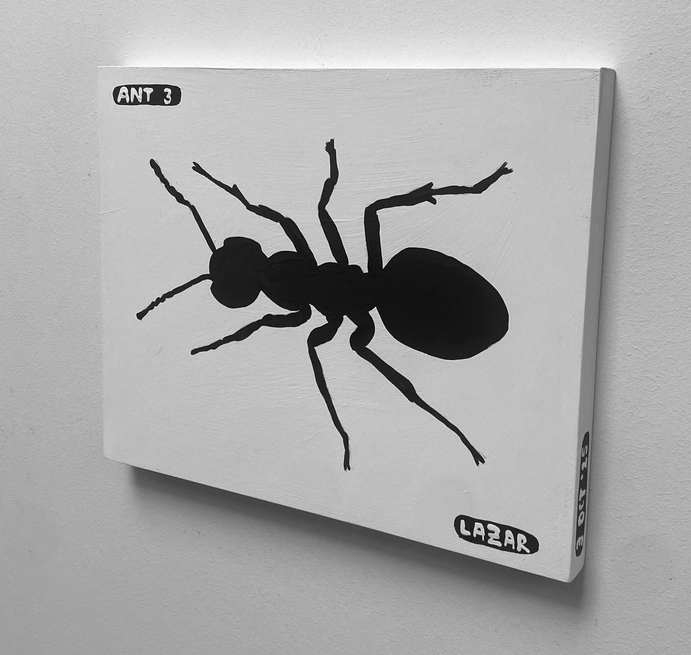 Ant #03