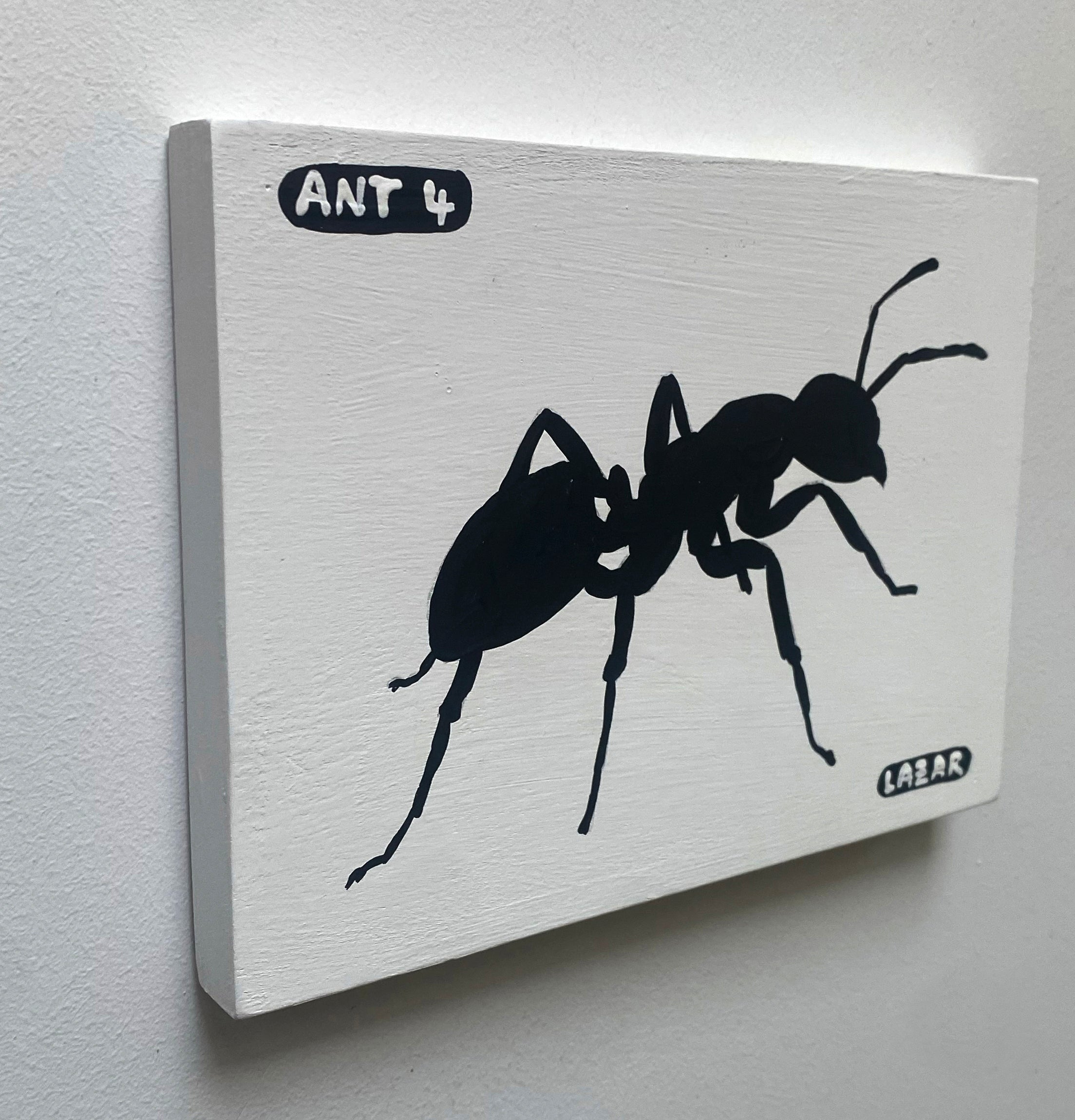 Ant #04
